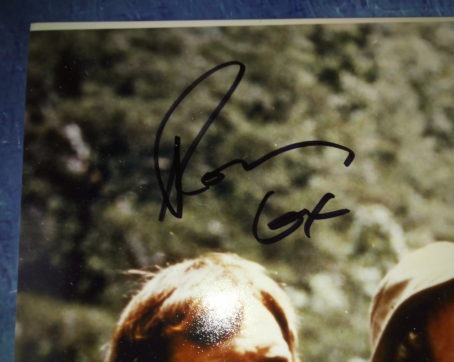 Deliverance Cast Hand Signed Autograph 11x14 Photo COA Burt Reynolds, Ned Beatty, Ronny Cox & Jon Voight