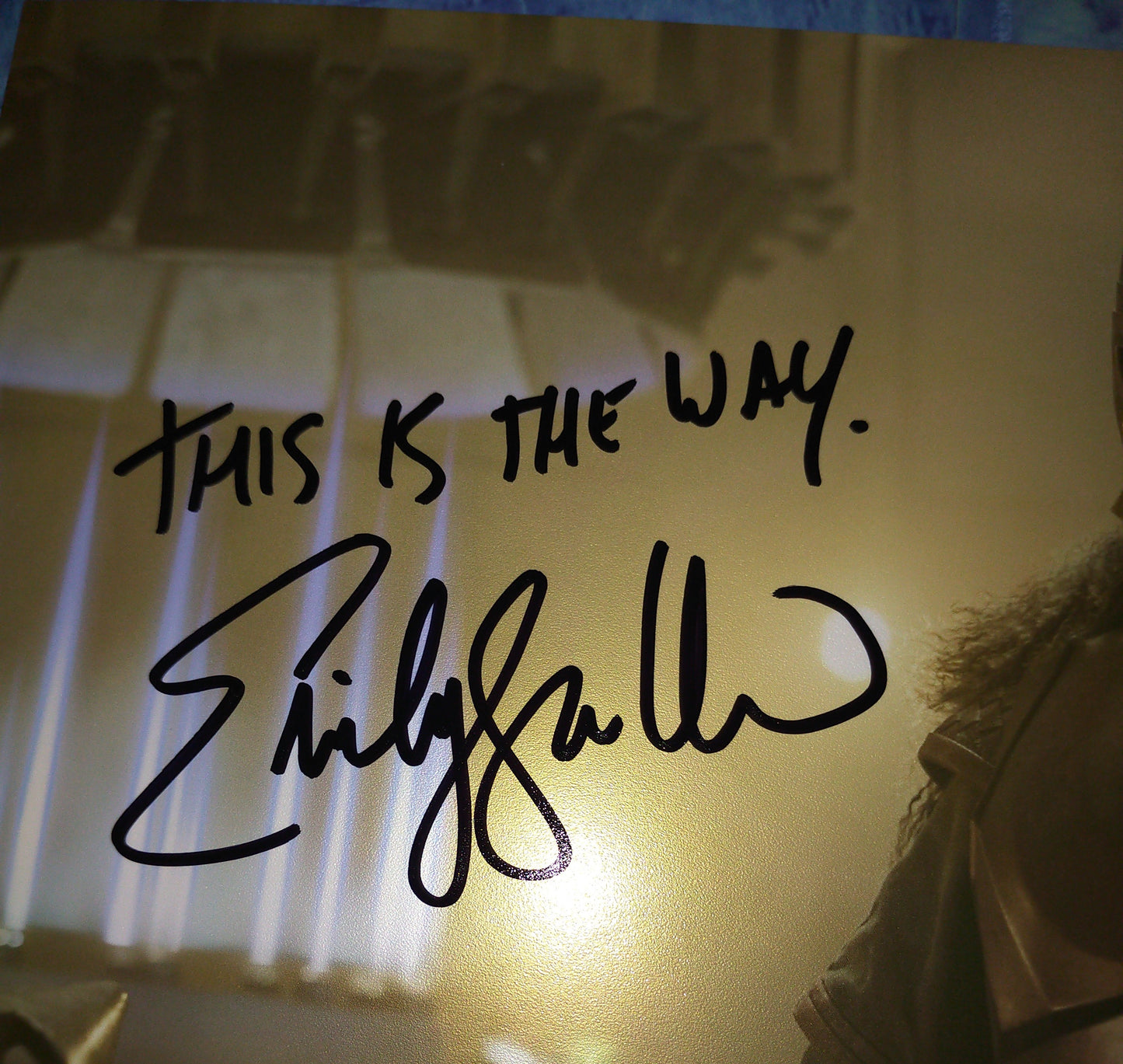 Emily Swallow Hand Signed Autograph 8x10 Photo JSA