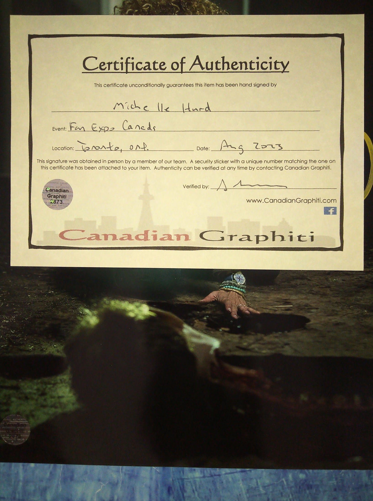 Michelle Hurd Hand Signed Autograph 8x10 Photo COA Ash vs Evil Dead