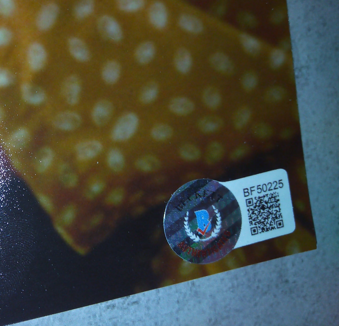 Skeet Ulrich Hand Signed Autograph 8x10 Photo BAS COA Scream