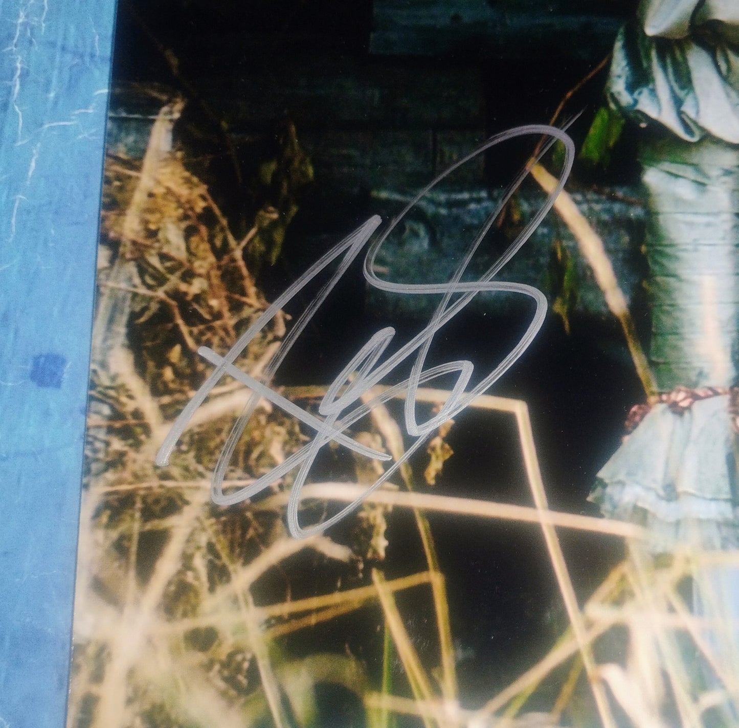Bill Skarsgard Hand Signed Autograph 11x14 Photo BAS COA Pennywise