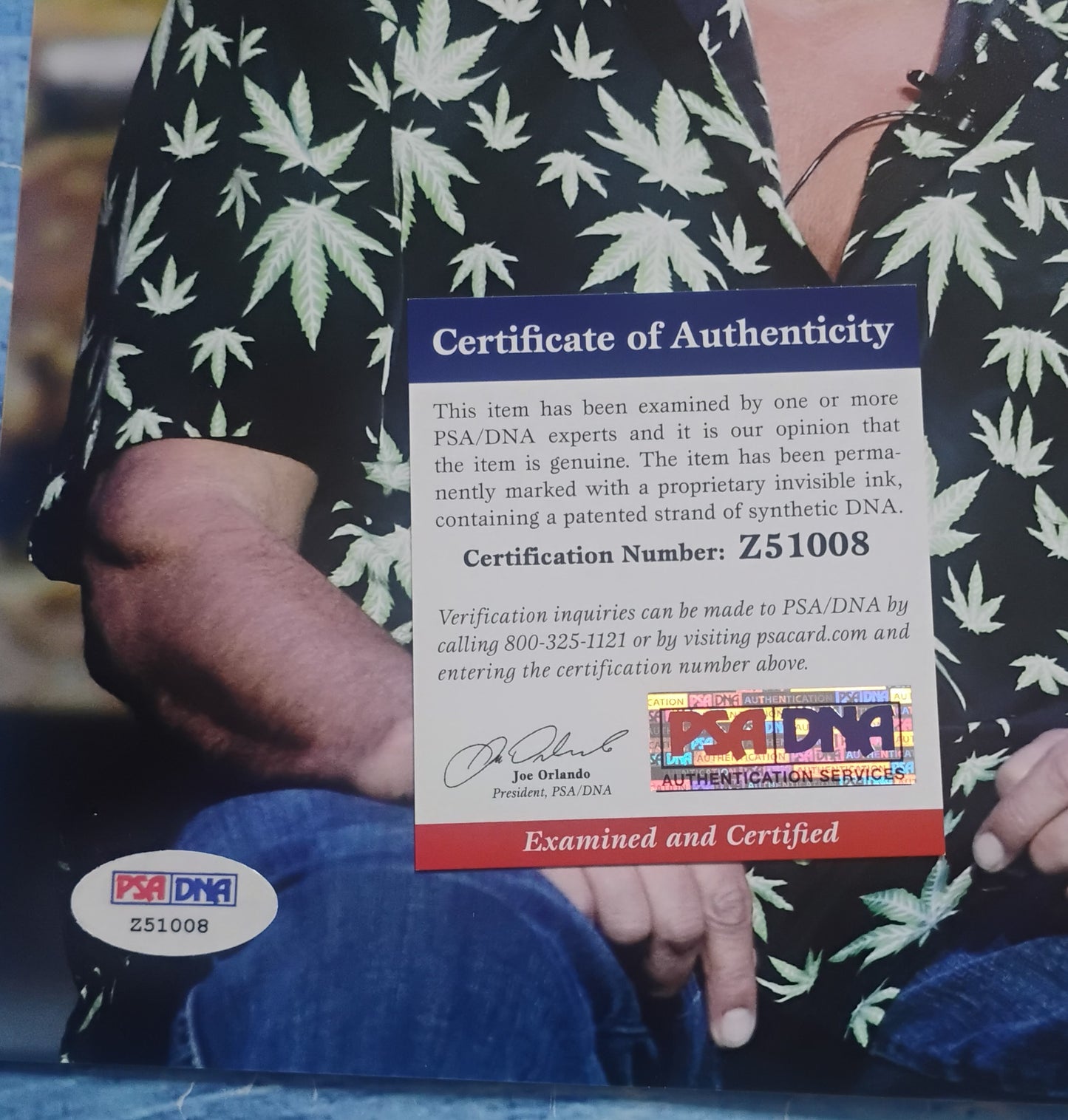 Tommy Chong Hand Signed Autograph 8x10 Photo PSA COA