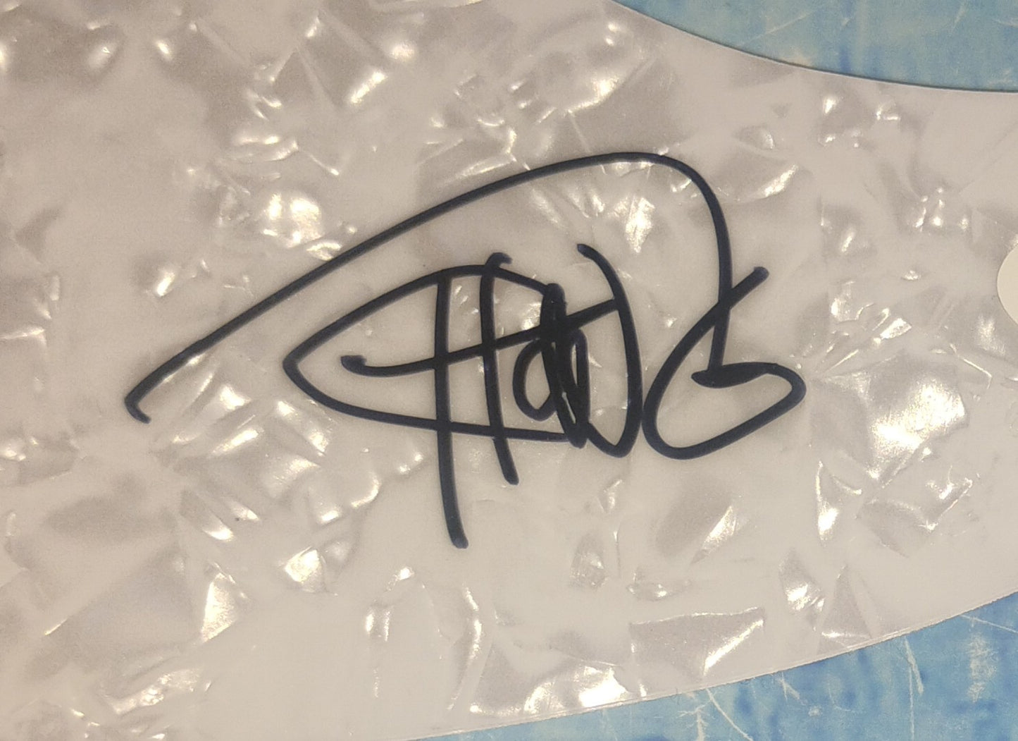 Cheech & Chong Hand Signed Autograph Guitar Pick Guard JSA COA