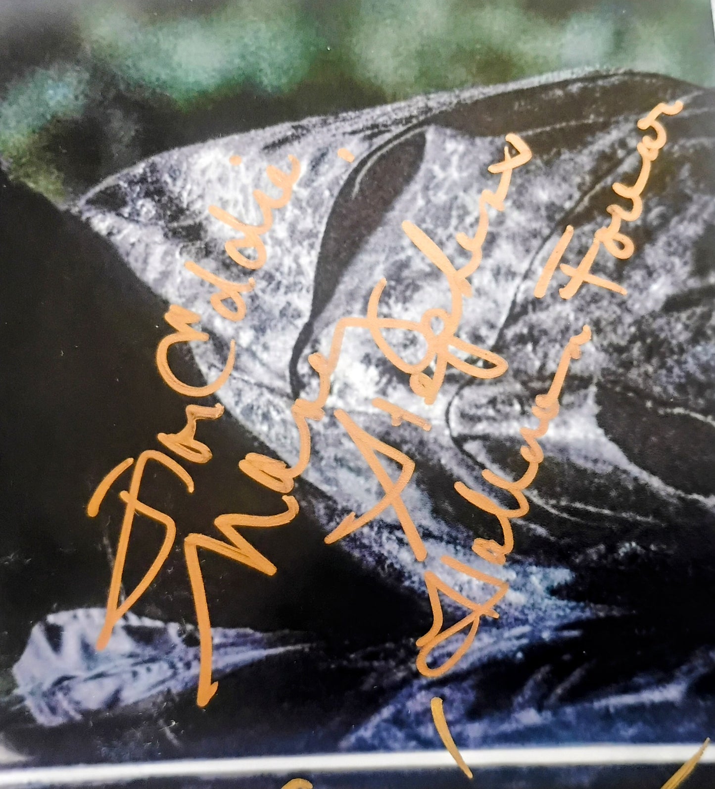 James Jude Courtney & Nancy Stephens Hand Signed Autograph 8x10 Photo JSA COA Halloween