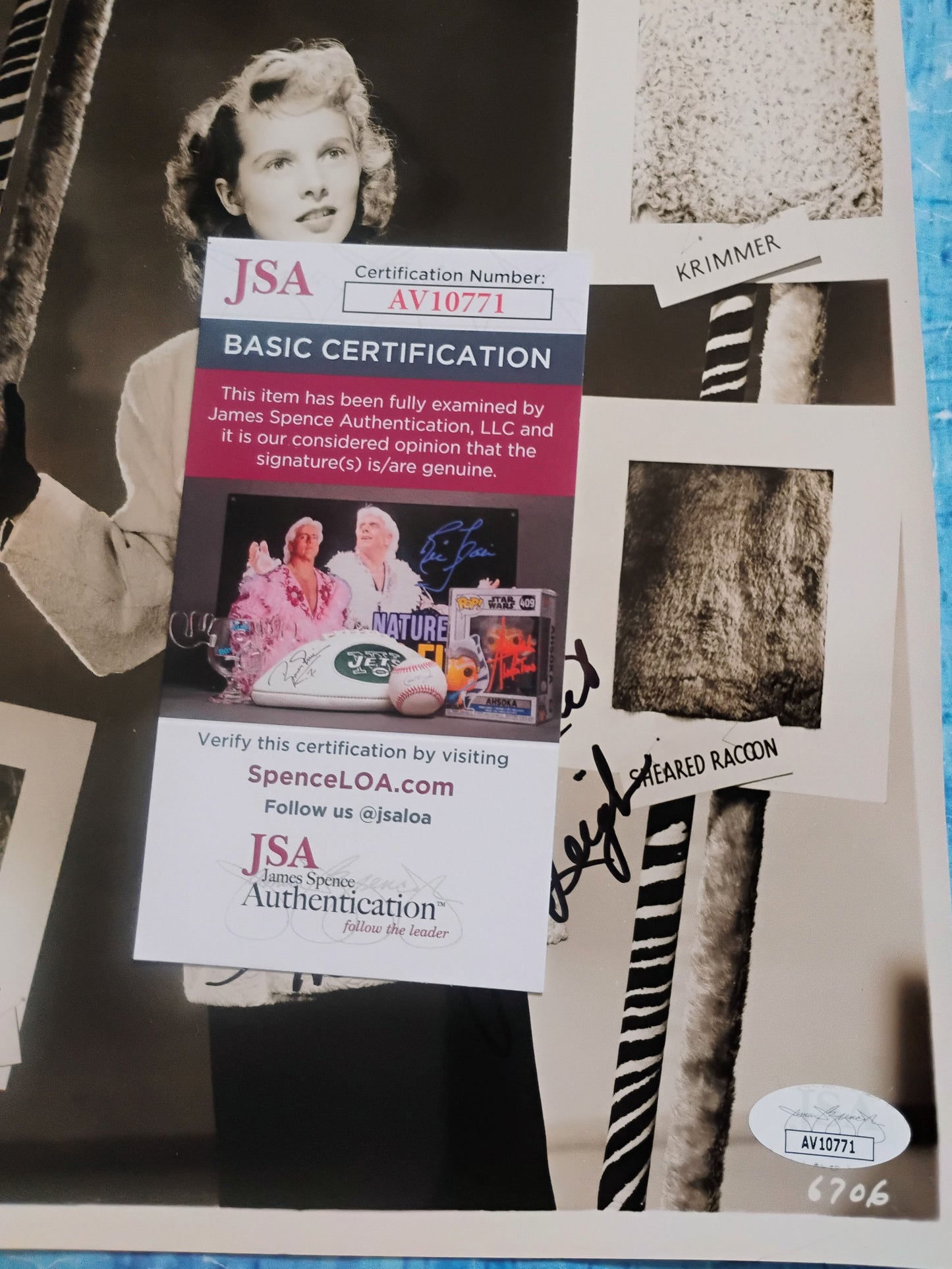 Janet Leigh Hand Signed Autograph 8x10 Photo JSA COA