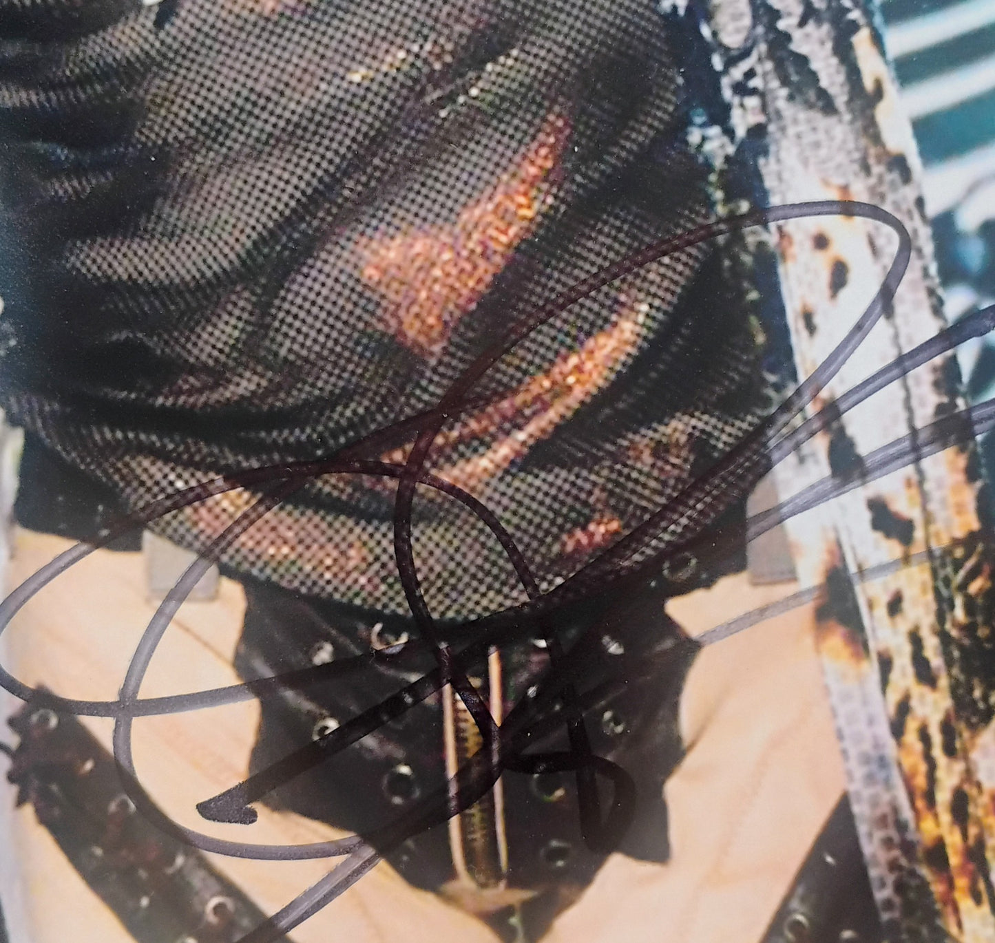 Steven Tyler Hand Signed Autograph 11x14 Photo COA + PSA Aerosmith