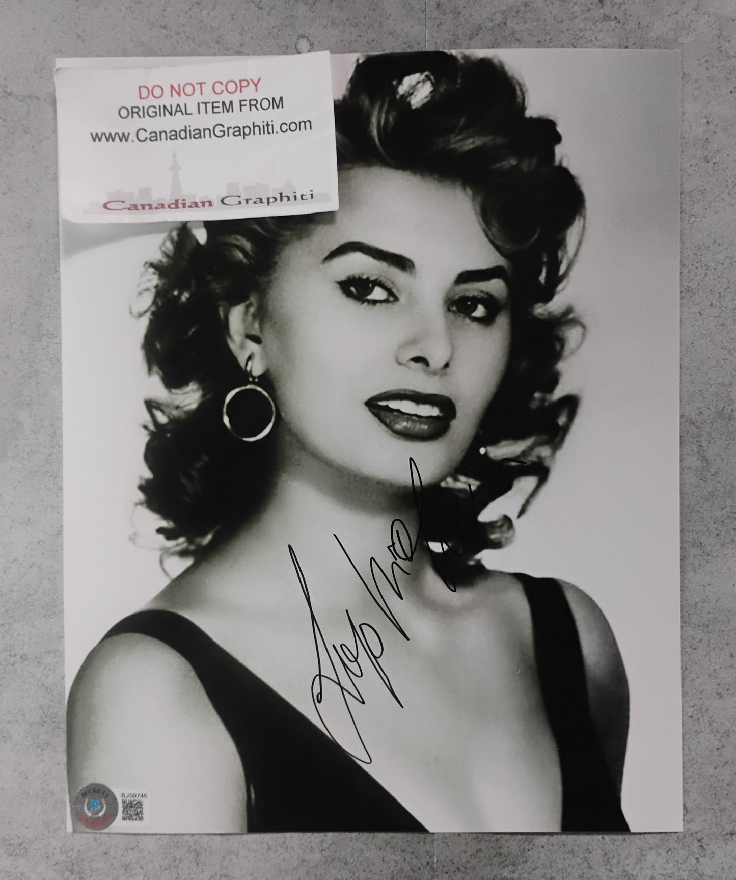 Sophia Loren Hand Signed Autograph 8x10 Photo BAS COA