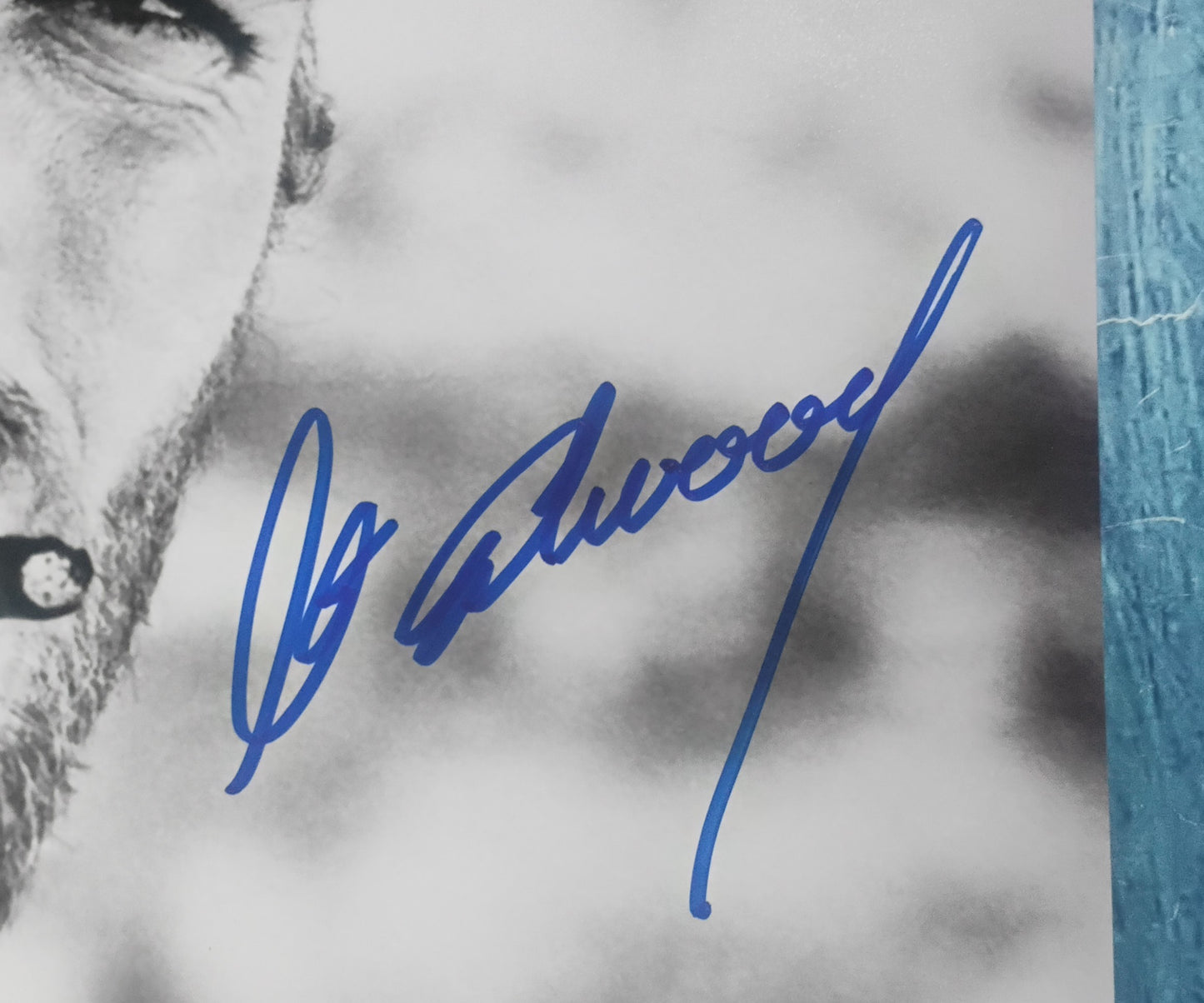 Clint Eastwood Hand Signed Autograph 11x14 Photo COA