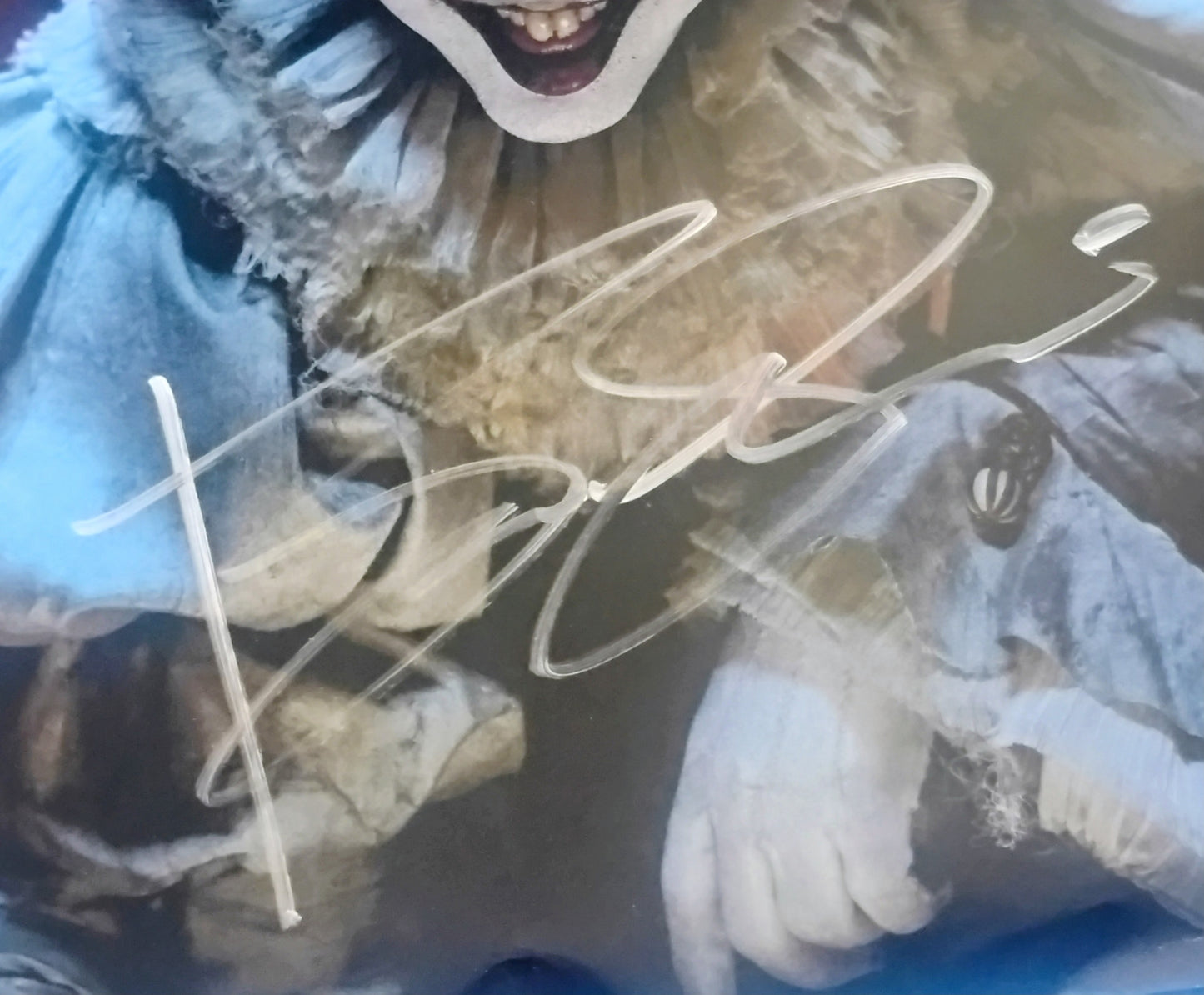 Bill Skarsgard Hand Signed Autograph 11x14 Photo COA Pennywise