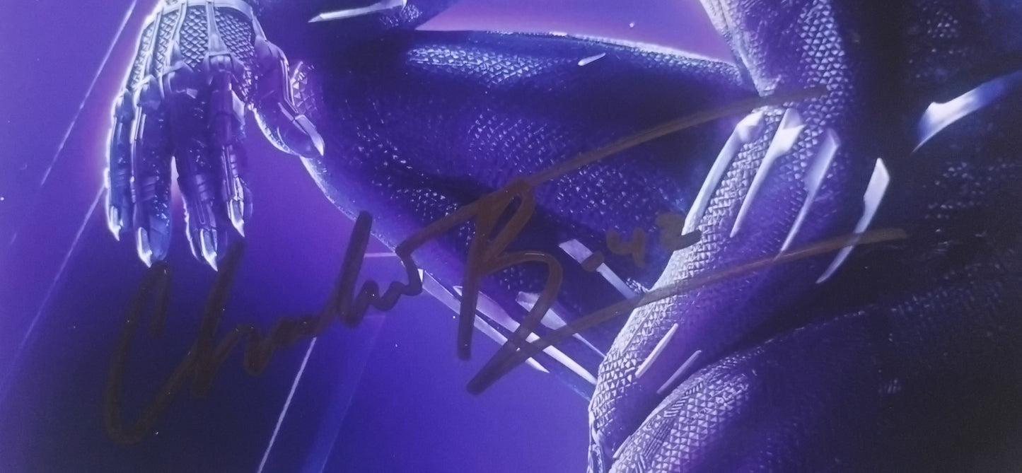 Chadwick Boseman Hand Signed Autograph 8x10 Photo COA Black Panther