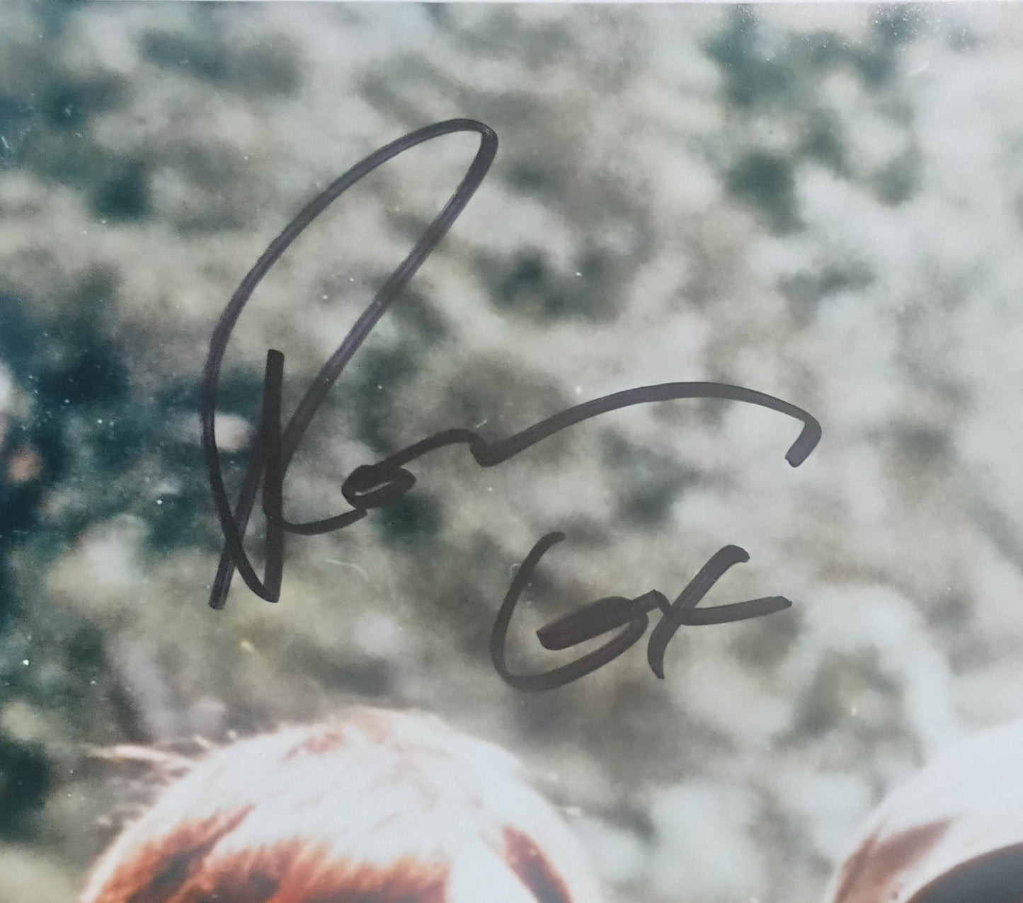 Deliverance Cast Hand Signed Autograph 11x14 Photo COA Burt Reynolds, Ned Beatty, Ronny Cox & Jon Voight