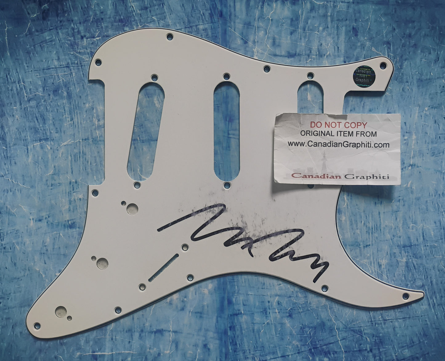Bryan Ferry Hand Signed Autograph Guitar Pick Guard COA Roxy Music