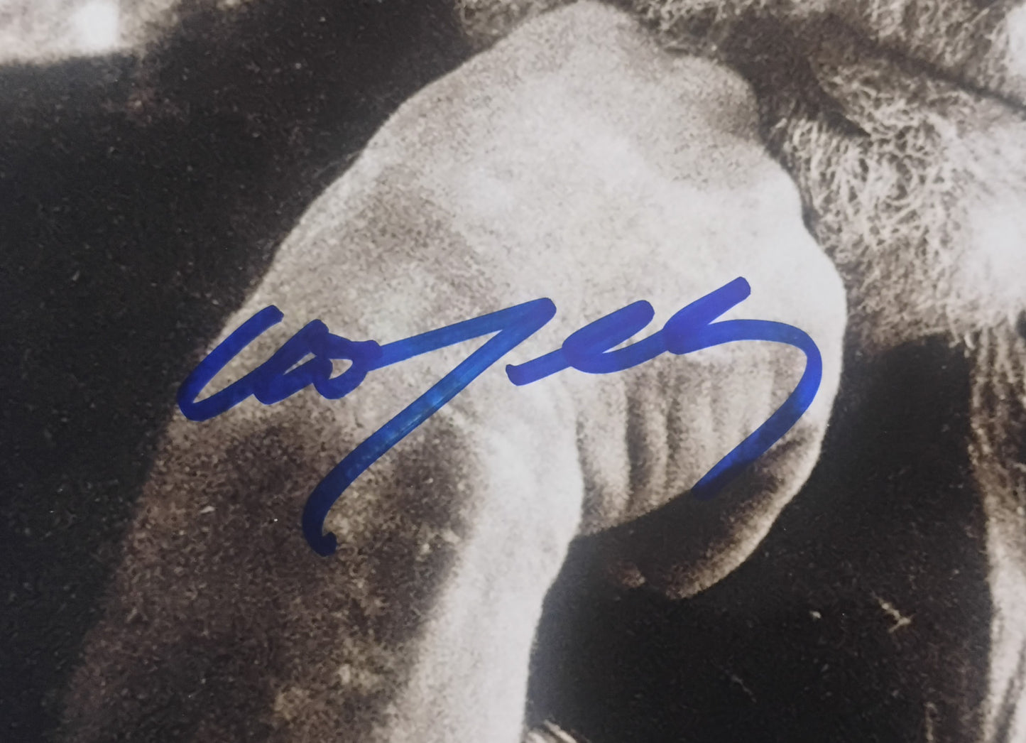Willie Nelson Hand Signed Autograph 8x10 Photo COA