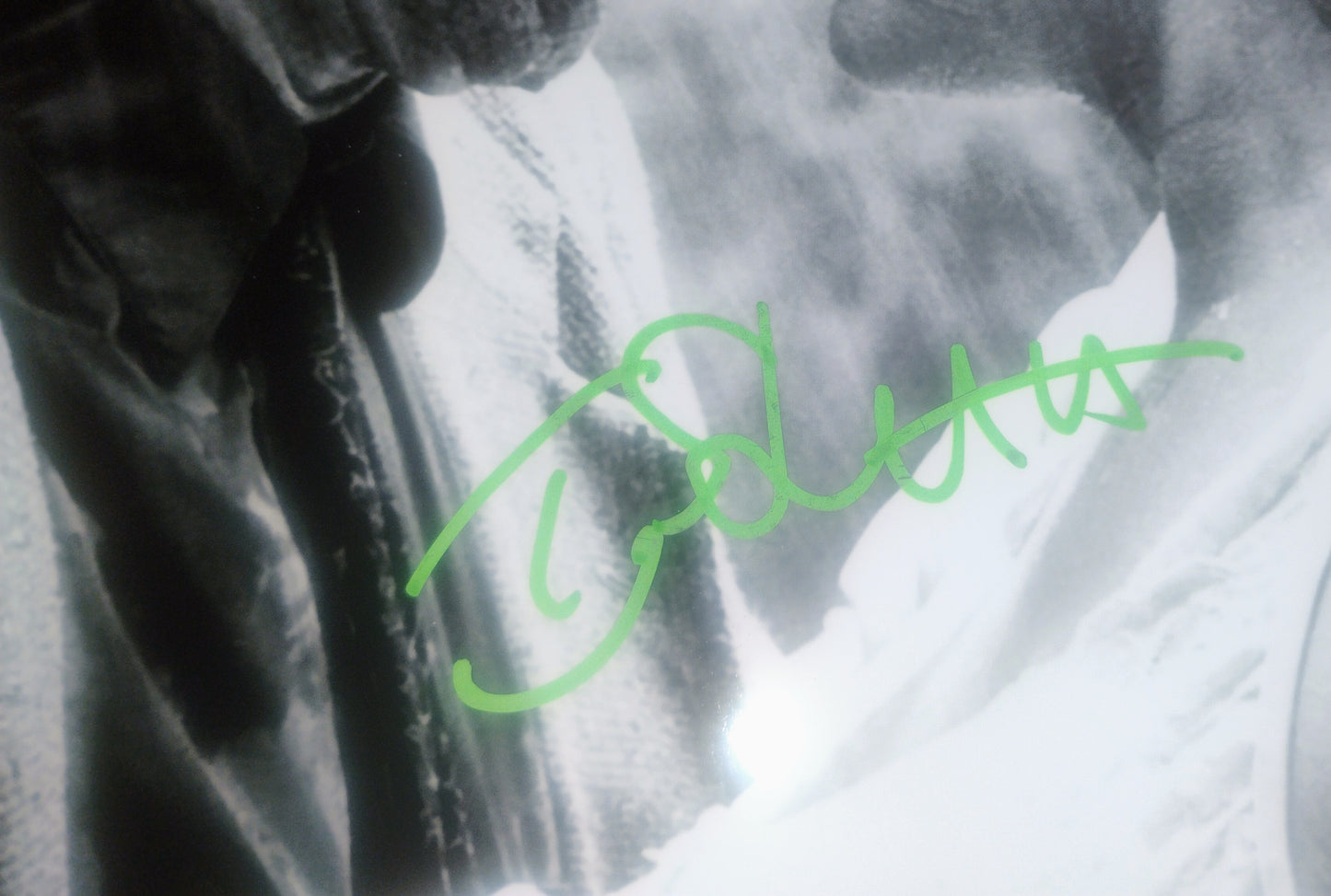 Tom Skerritt Hand Signed Autograph 8x10 Photo COA Poison Ivy