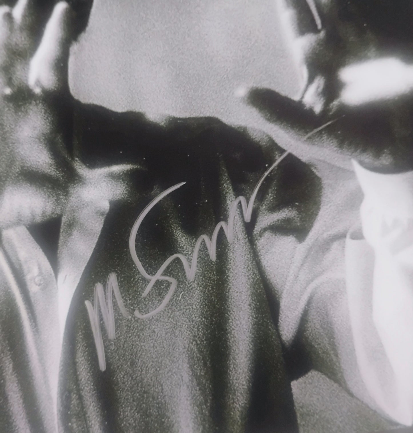 Martin Scorsese Hand Signed Autograph 8x10 Photo BAS COA