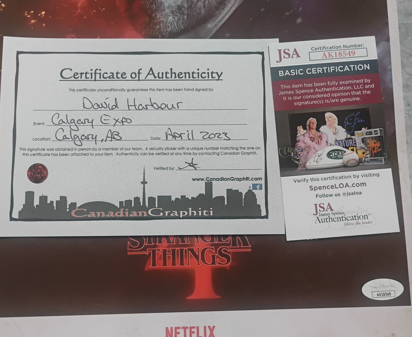 David Harbour Hand Signed Autograph 11x14 Photo JSA COA Stranger Things