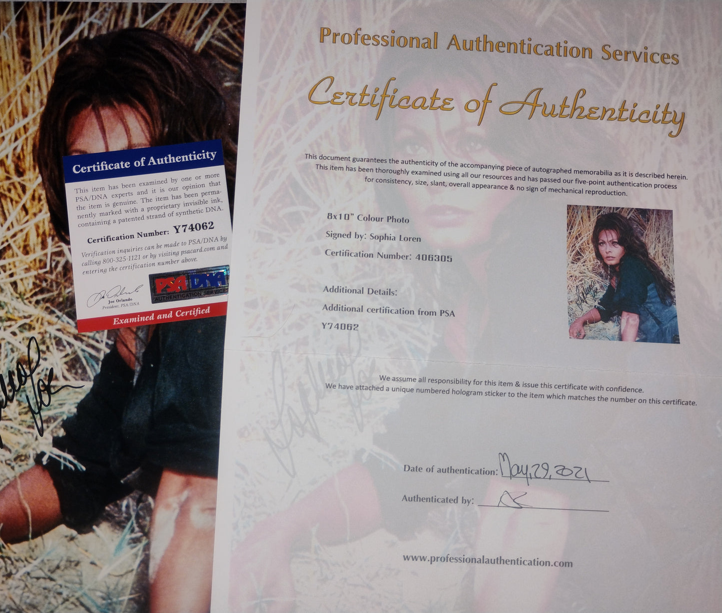 Sophia Loren Hand Signed Autograph 8x10 Photo PSA COA