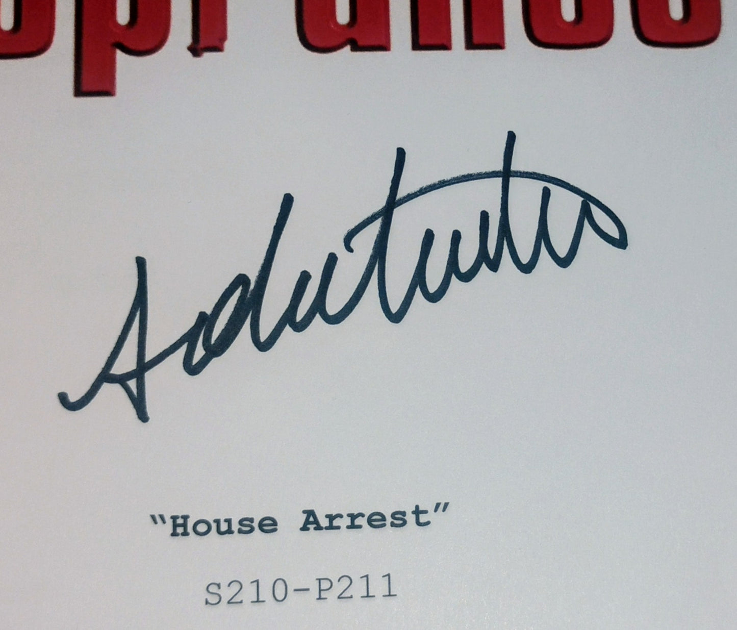 The Sopranos 3x Cast Hand Signed Autograph Script COA Vincent Pastore, Dominic Chianese