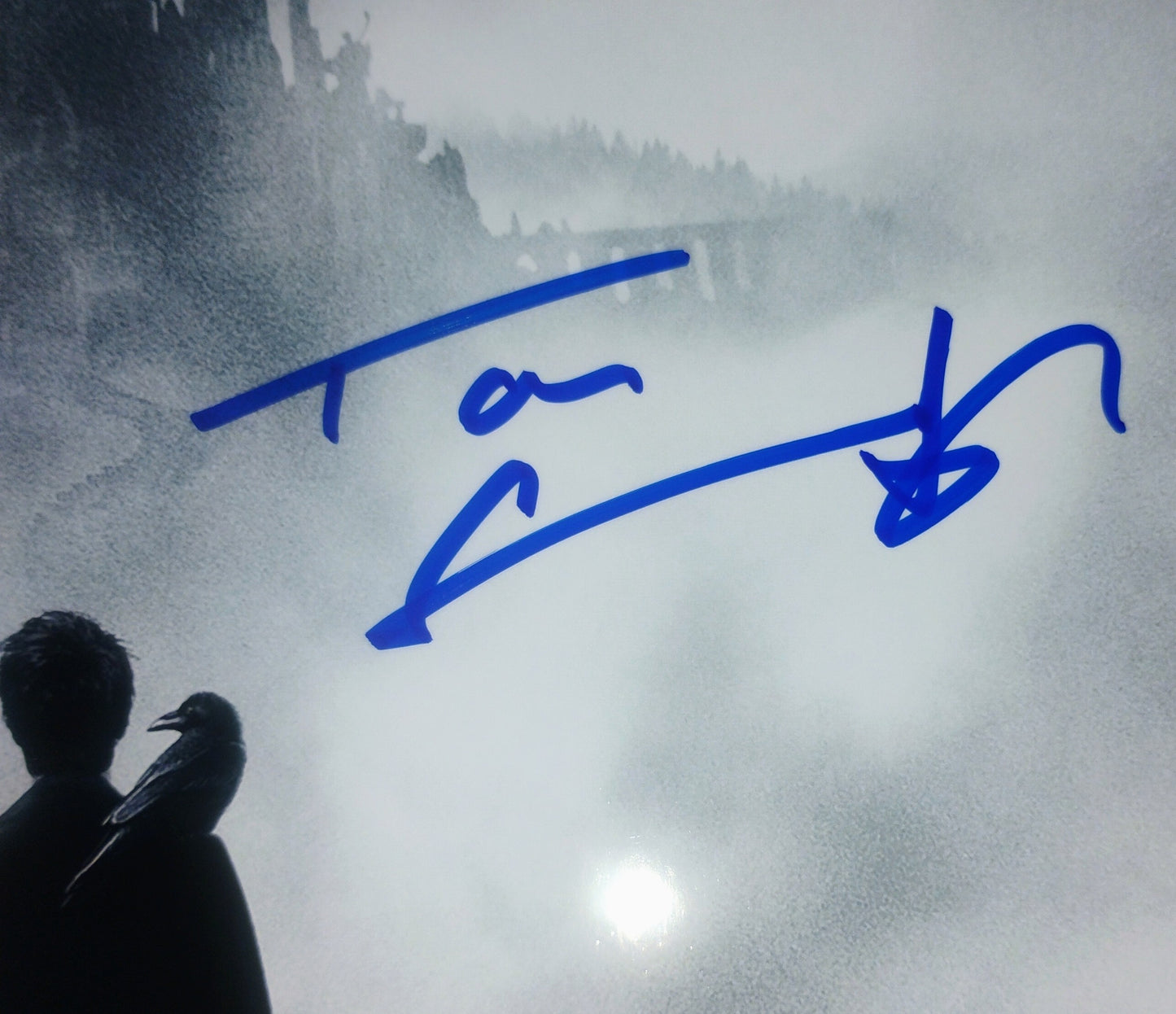 Tom Sturridge Hand Signed Autograph 8x10 Photo COA The Sandman