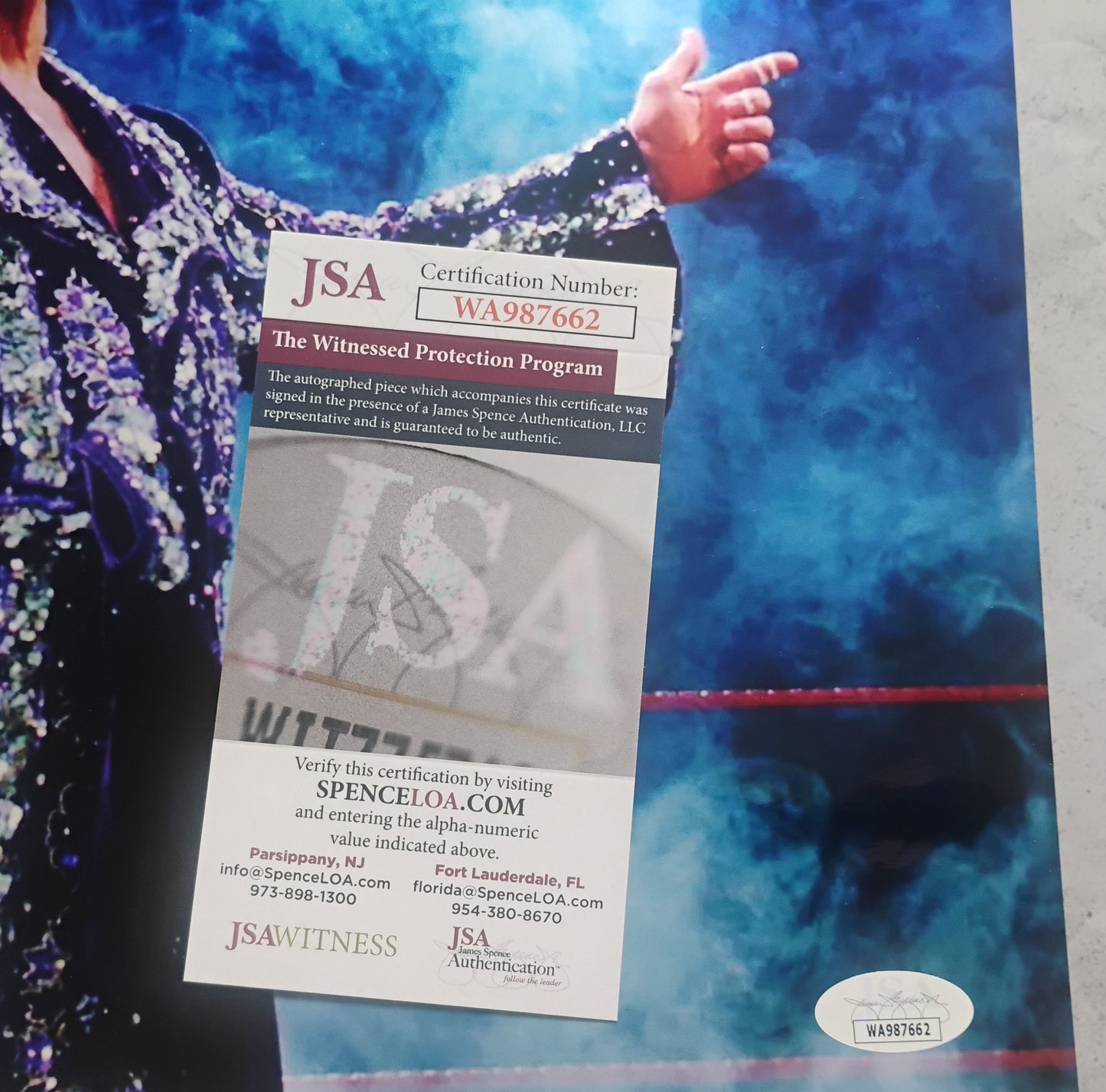 Ric Flair Nature Boy Hand Signed Autograph 11x14 Photo JSA COA
