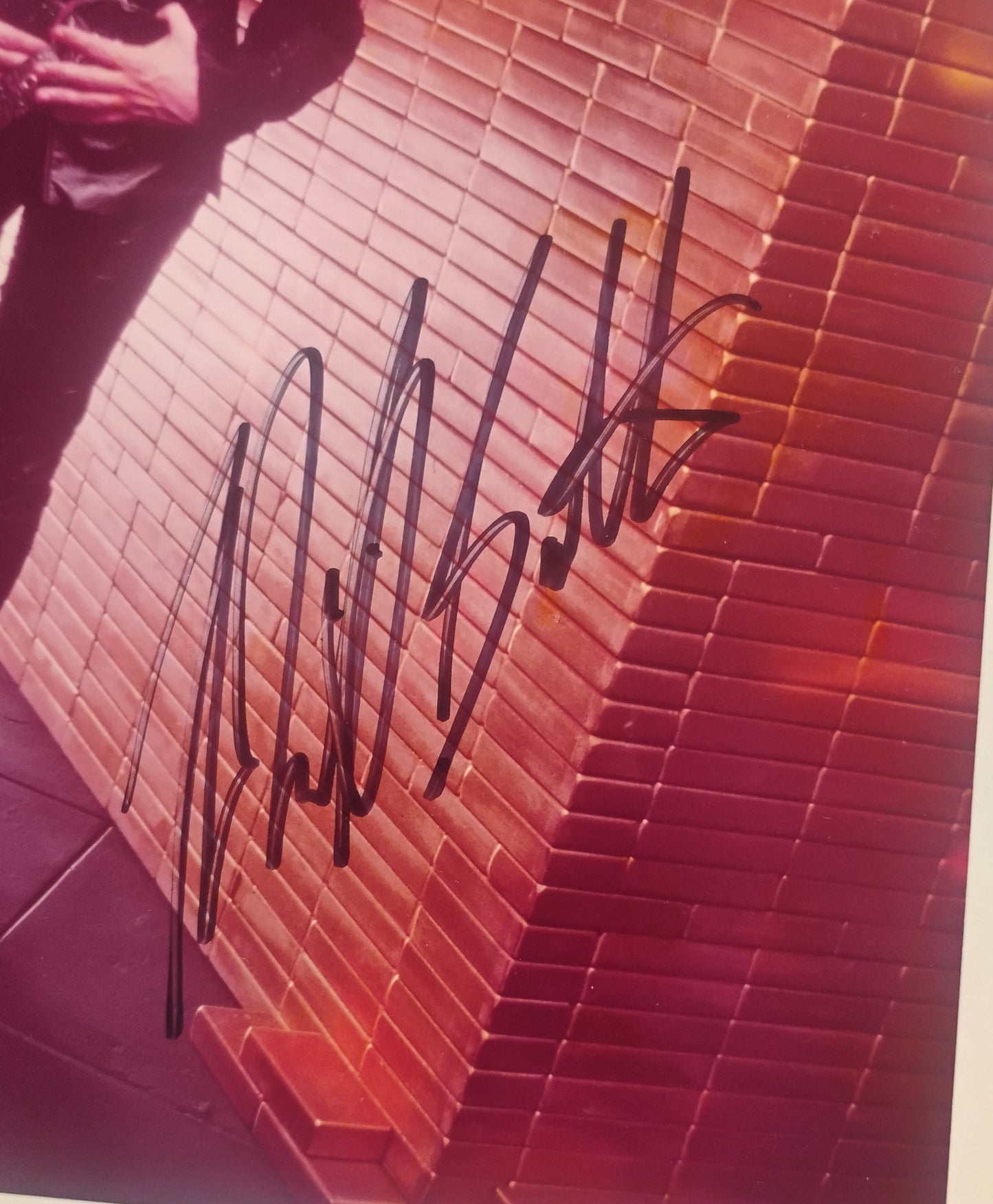 Michael Bolton Hand Signed Autograph Photo COA
