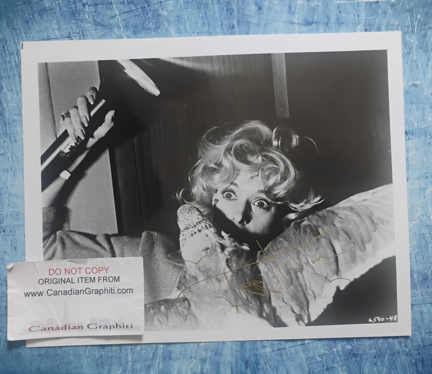 Tippi Hedren Hand Signed Autograph 8x10 Photo JSA COA The Birds