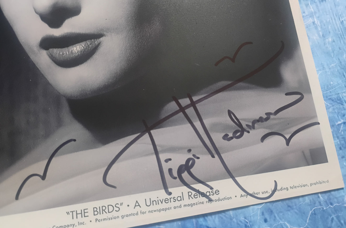 Tippi Hedren Hand Signed Autograph 8x10 Photo COA The Birds