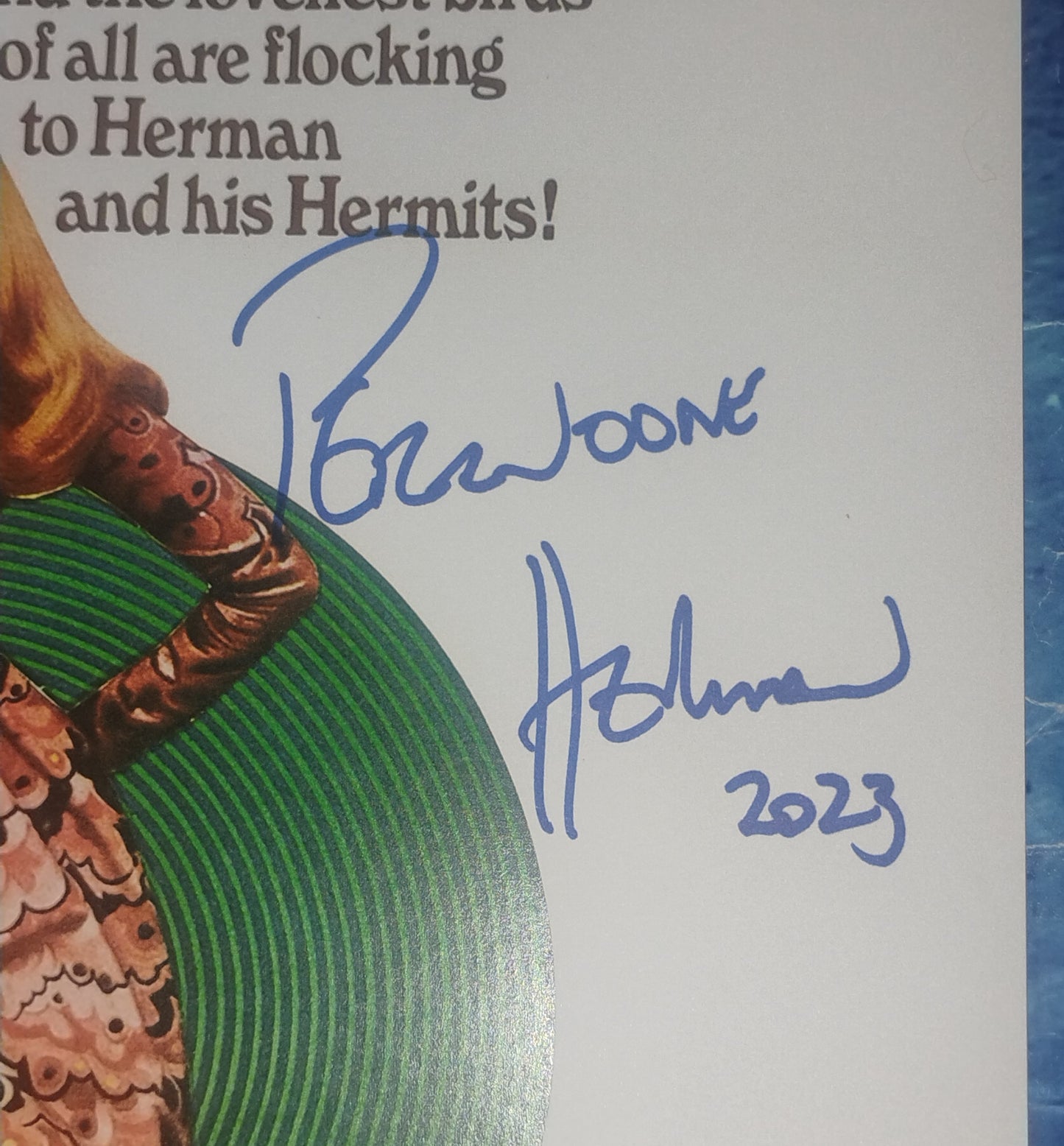 Peter Noone Hand Signed Autograph 11x17 Photo COA Herman's Hermits