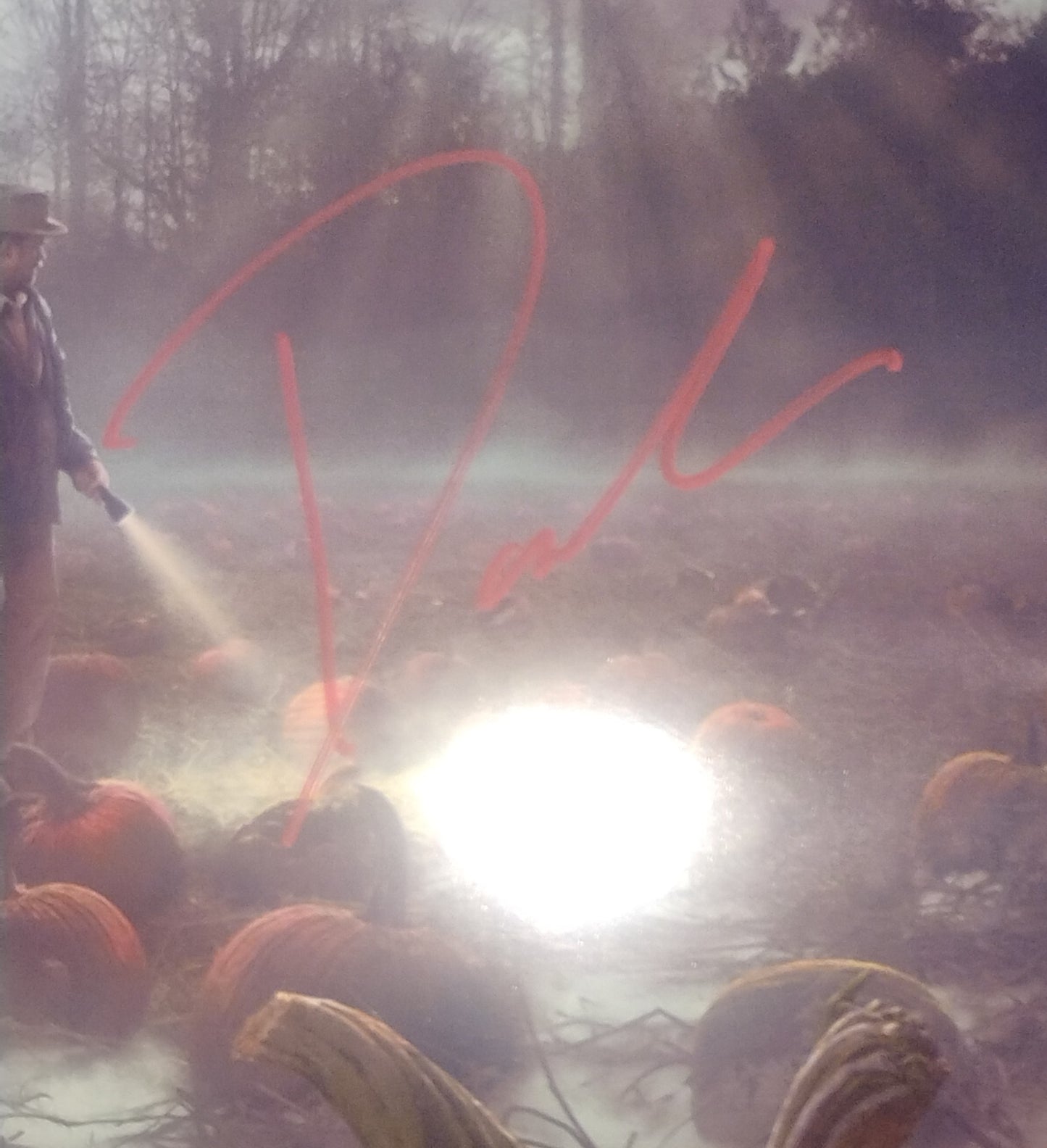 David Harbour Hand Signed Autograph 11x14 Photo JSA COA Stranger Things