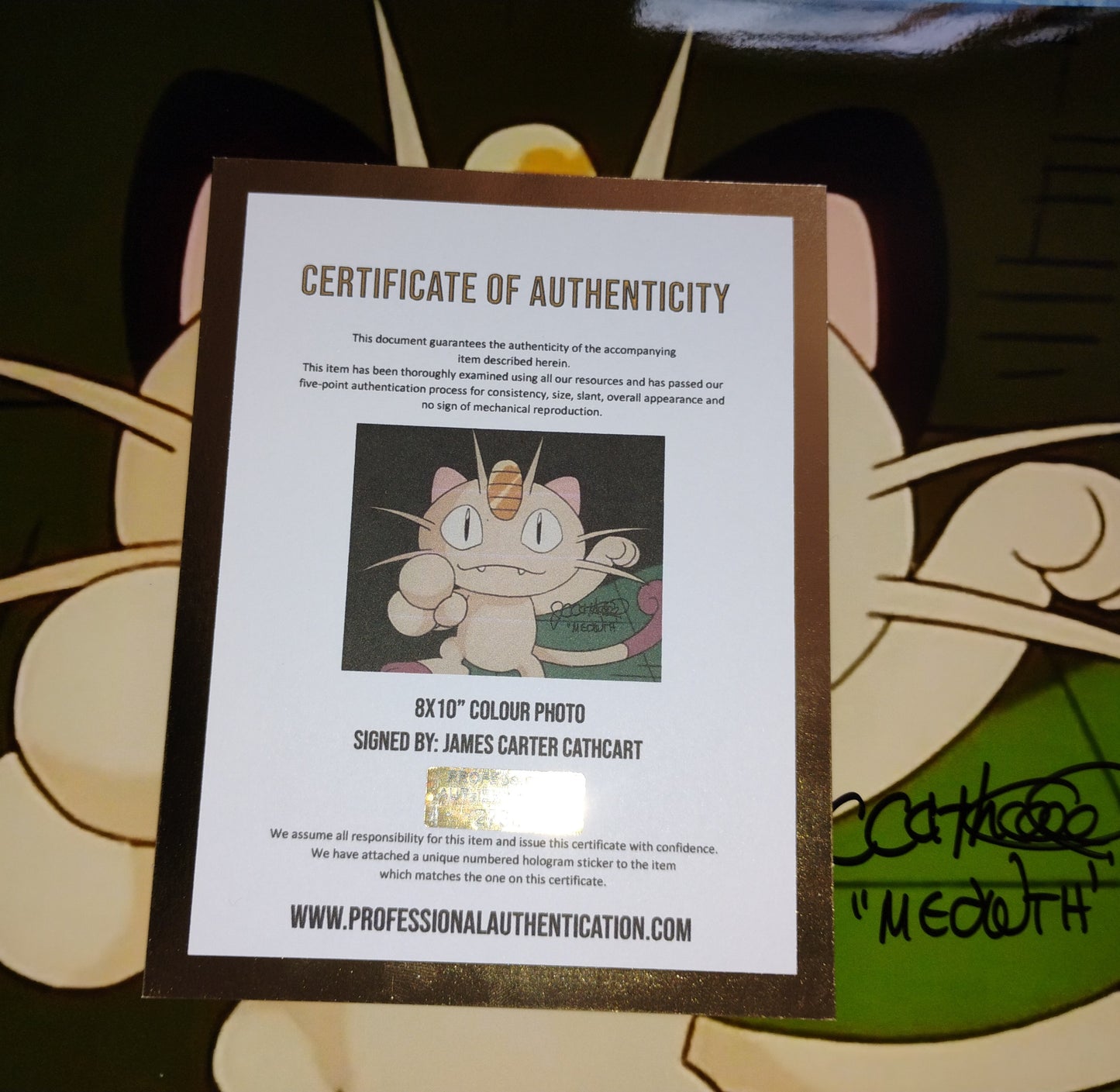 James Carter Cathcart Hand Signed Autograph 8x10 Photo COA Pokemon