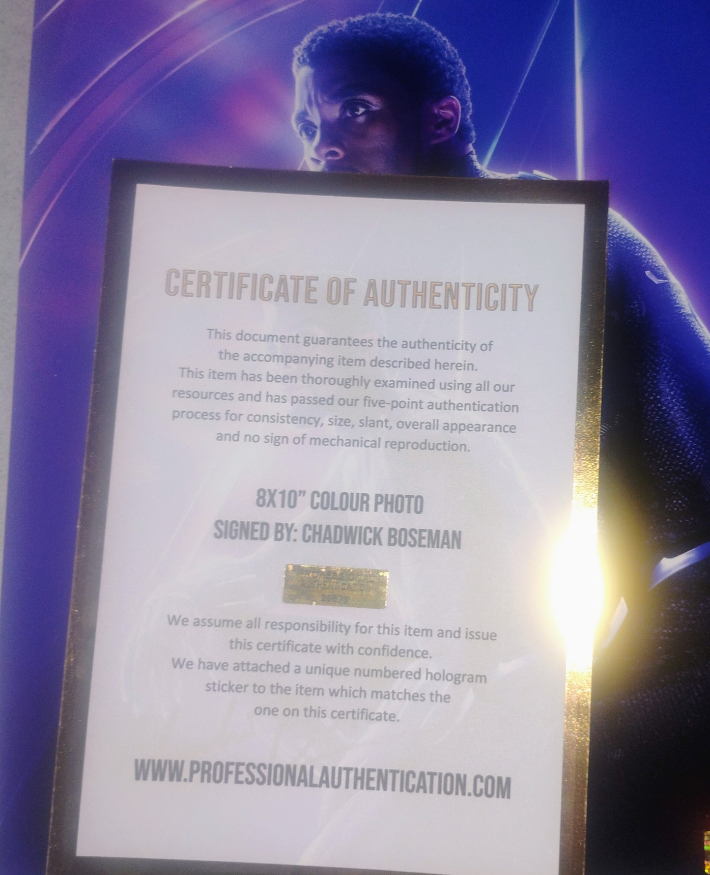 Chadwick Boseman Hand Signed Autograph 8x10 Photo COA Black Panther