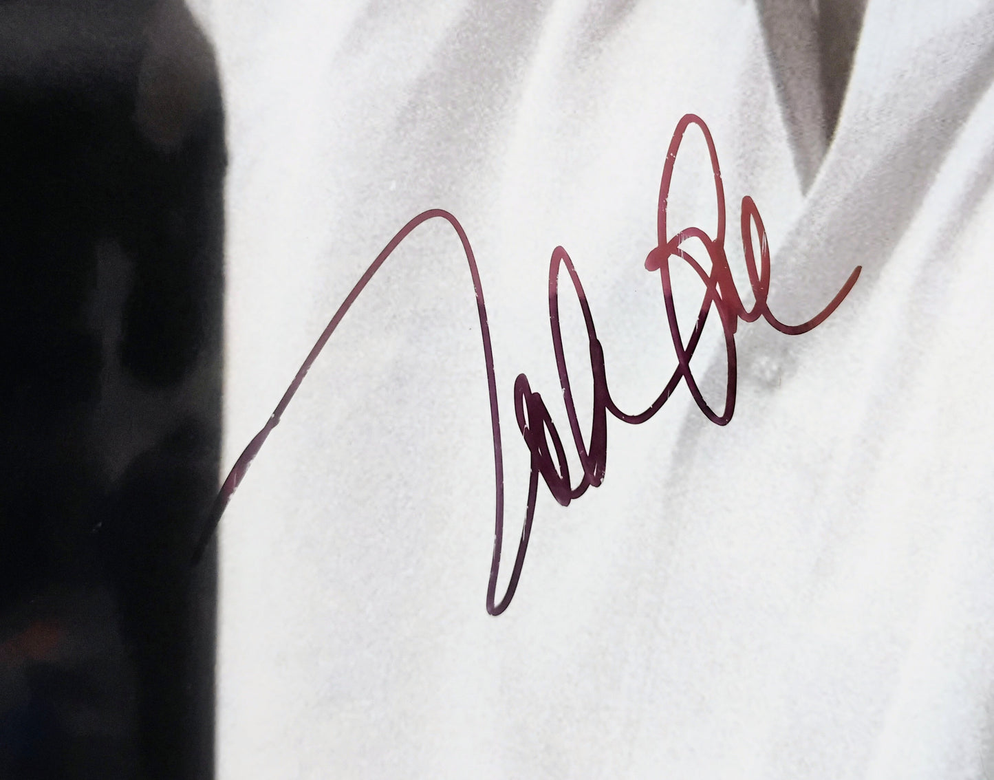 Mike Love Hand Signed Autograph 8x10 Photo JSA COA The Beach Boys