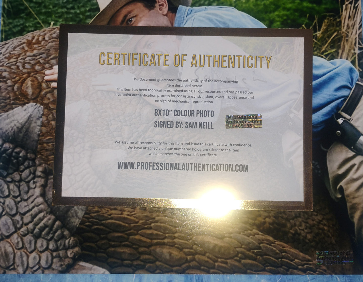 Sam Neill Hand Signed Autograph 8x10 Photo COA Jurassic Park