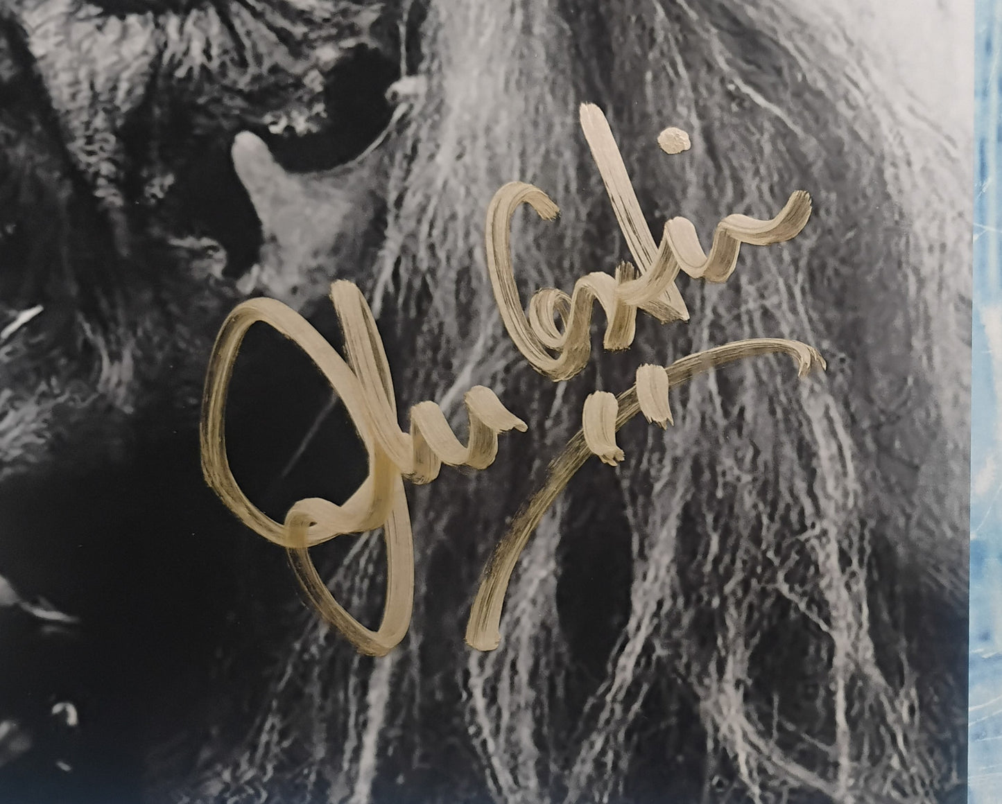 John Astin Hand Signed Autograph Photo COA The Frighteners