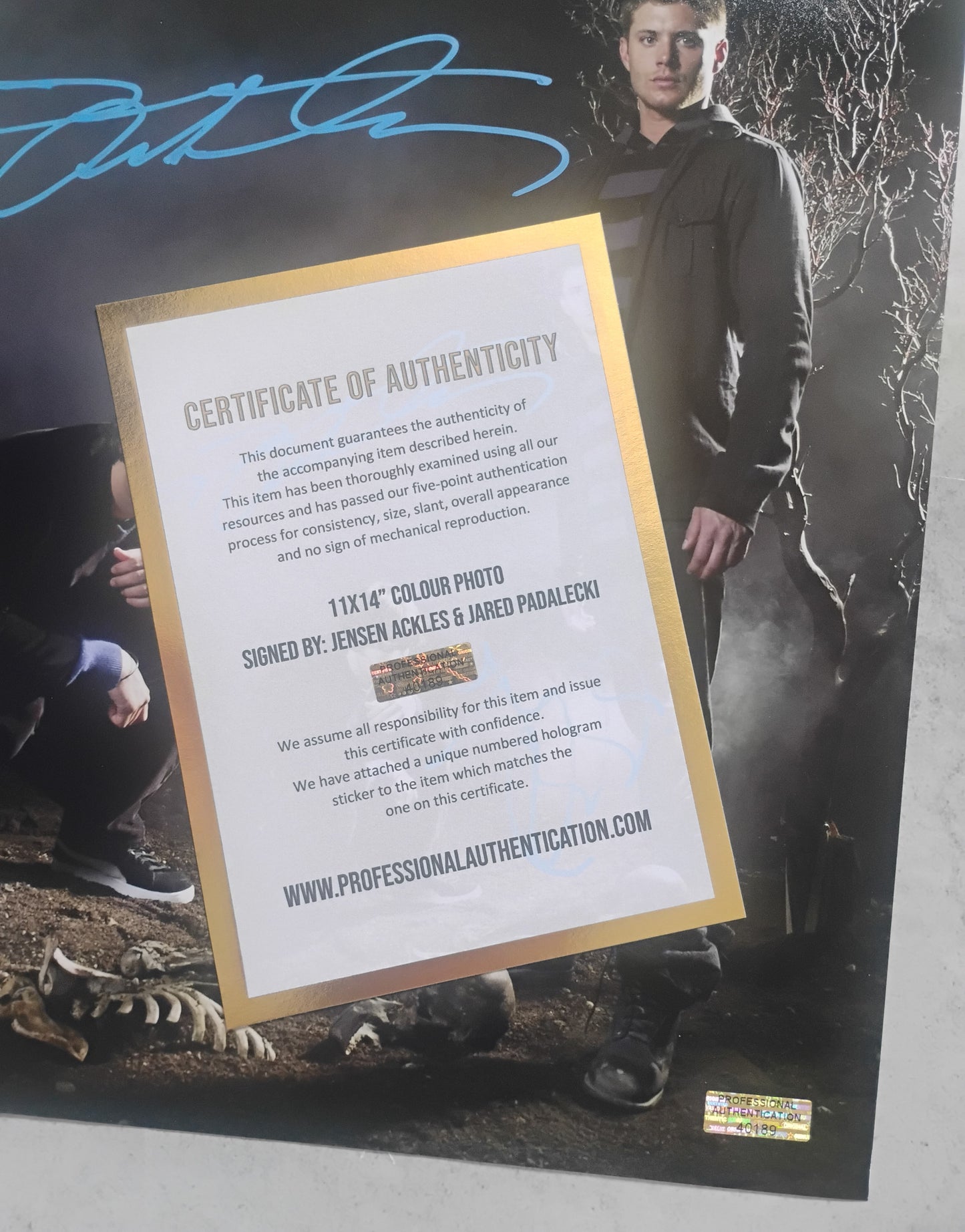 Jensen Ackles & Jared Padalecki Hand Signed Autograph 11x14 Photo COA Supernatural