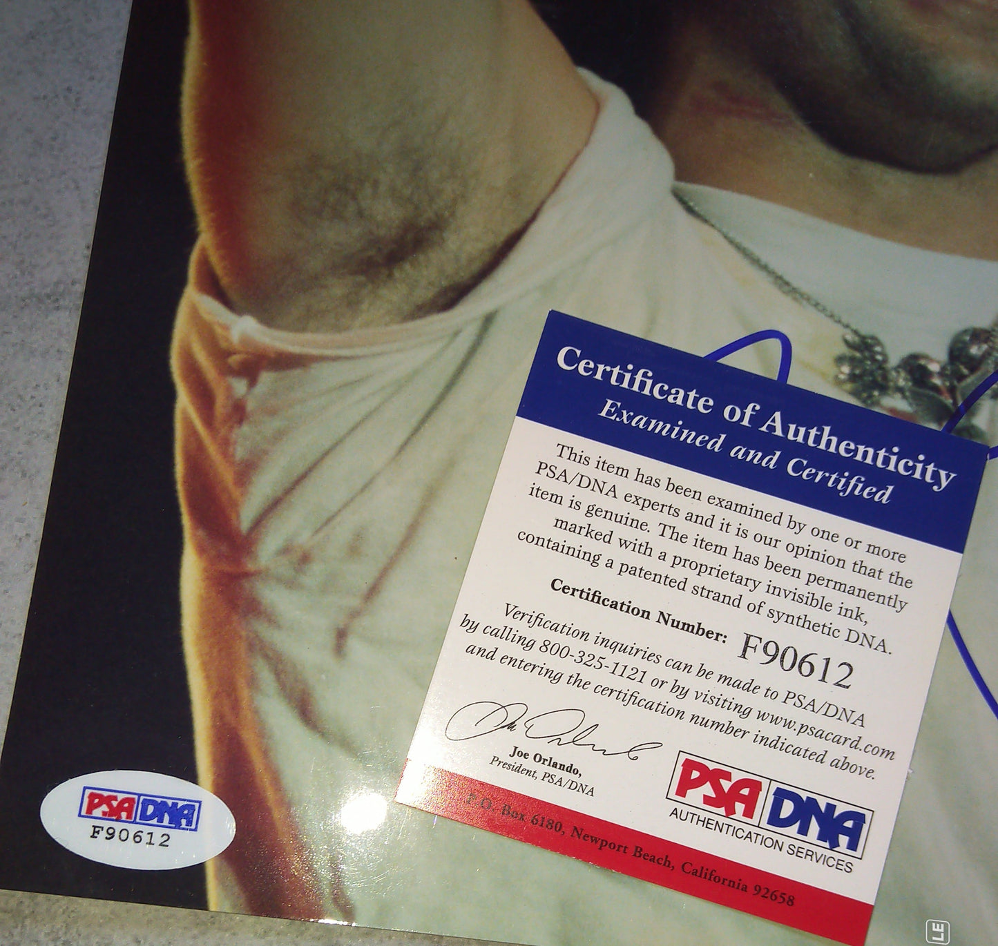 John Cougar Mellencamp Hand Signed Autograph 8x10 Photo PSA COA