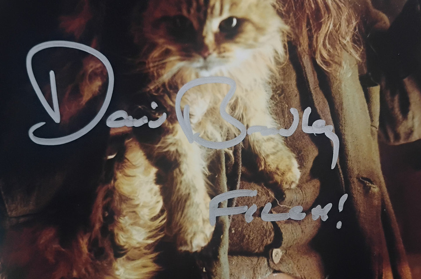 David Bradley Hand Signed Autograph 8x10 Photo SWAU COA Harry Potter