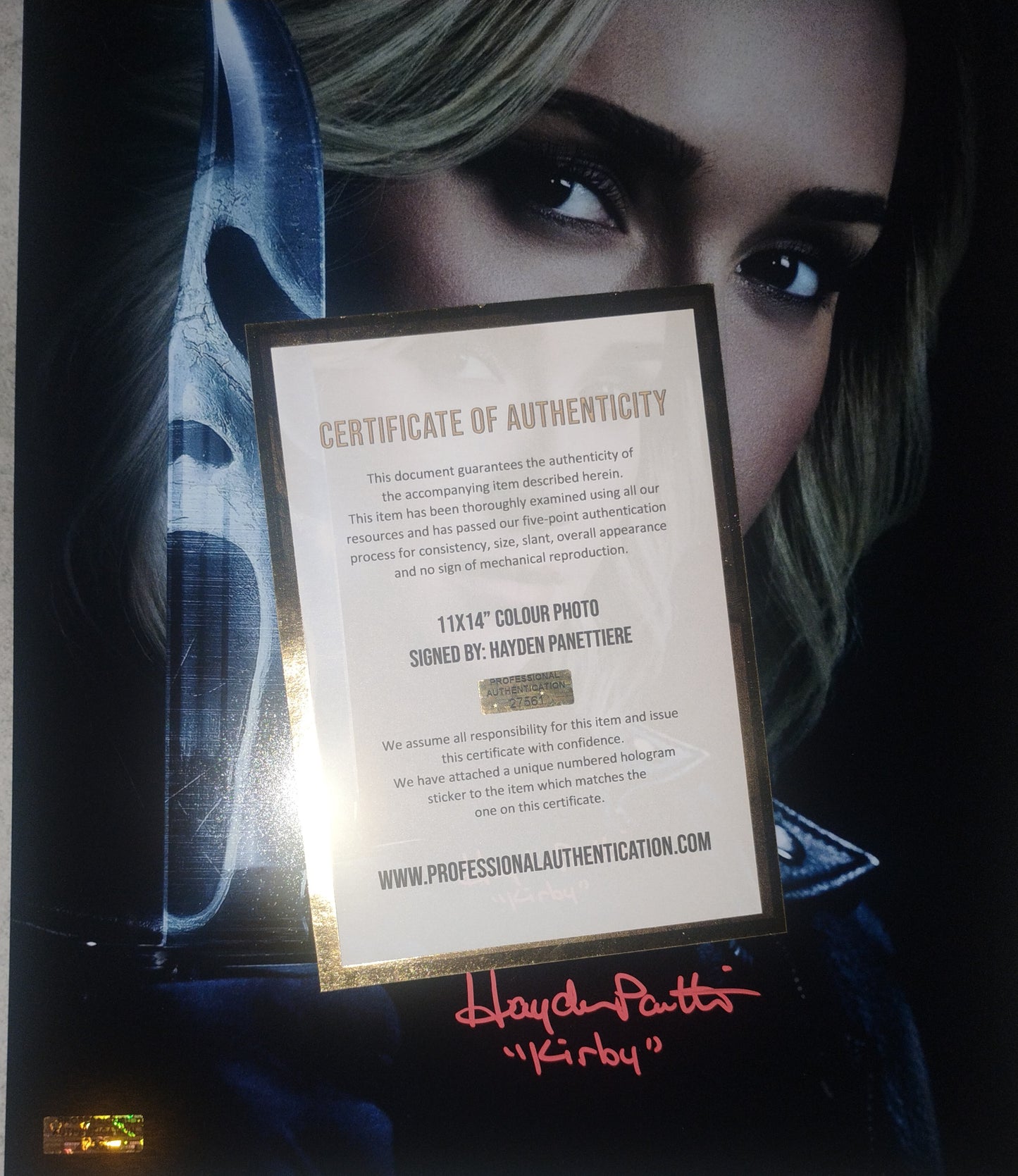 Hayden Panettiere Hand Signed Autograph 11x14 Photo COA Scream