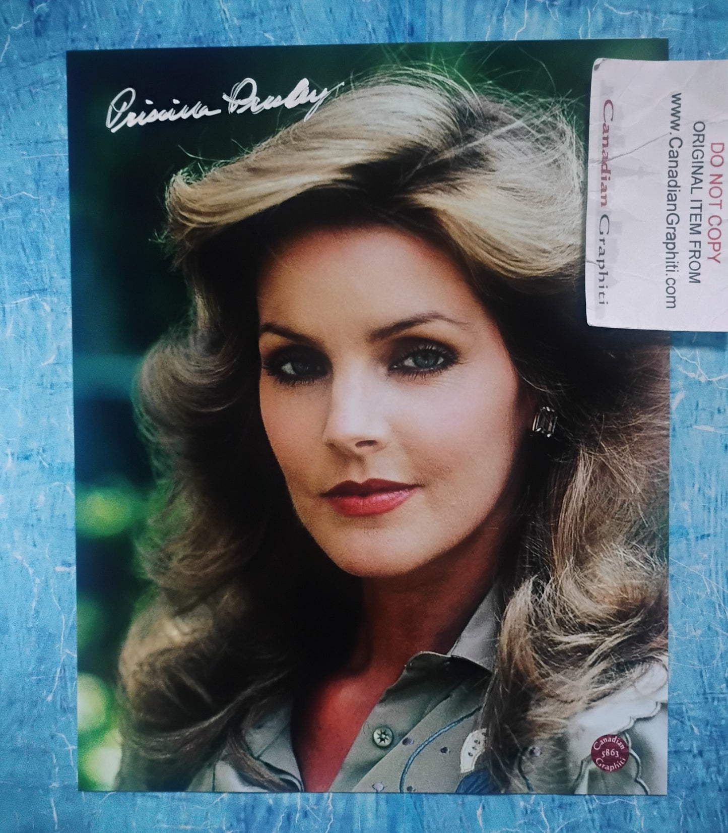 Priscilla Presley Hand Signed Autograph 8x10 Photo COA