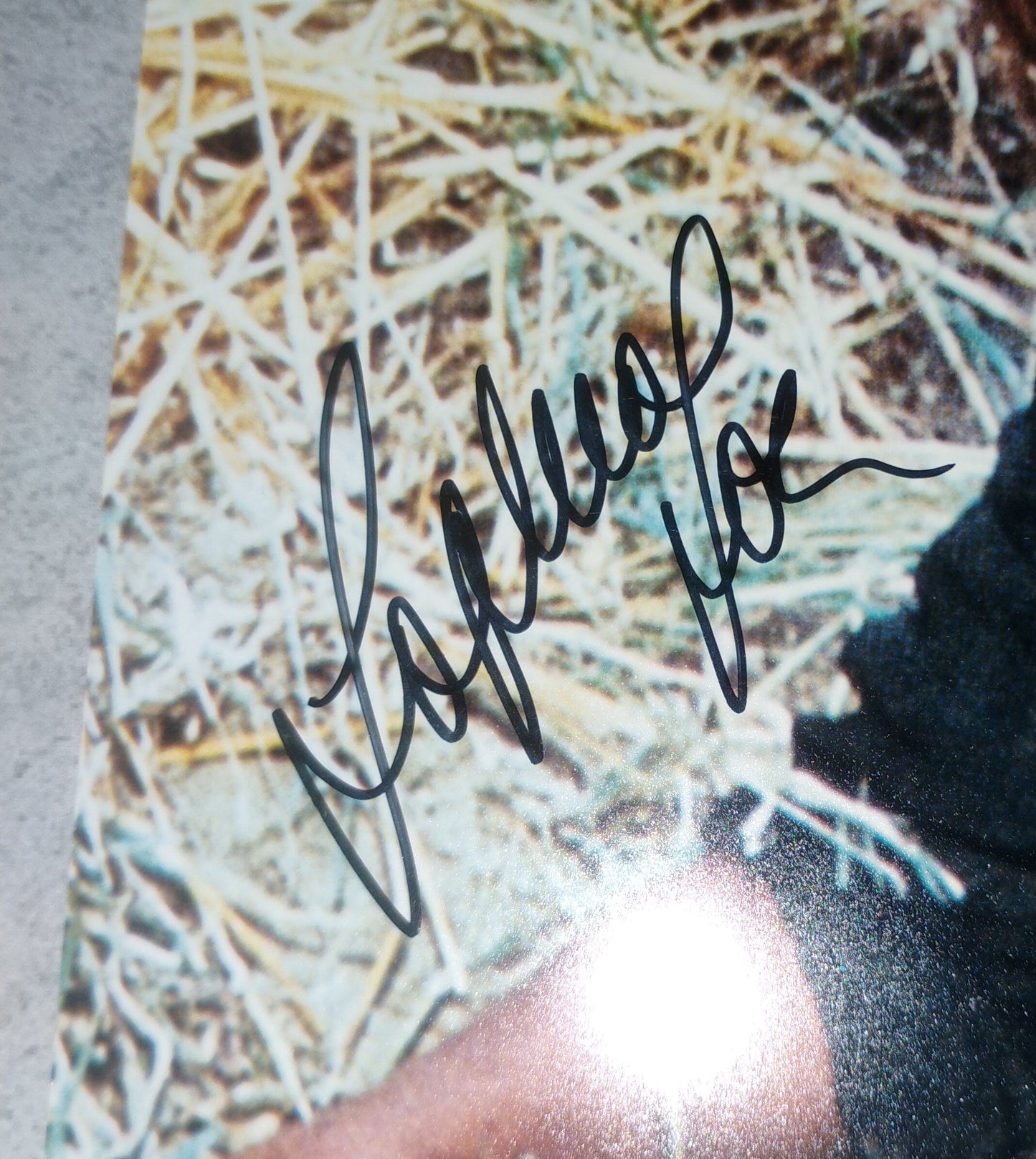 Sophia Loren Hand Signed Autograph 8x10 Photo PSA COA