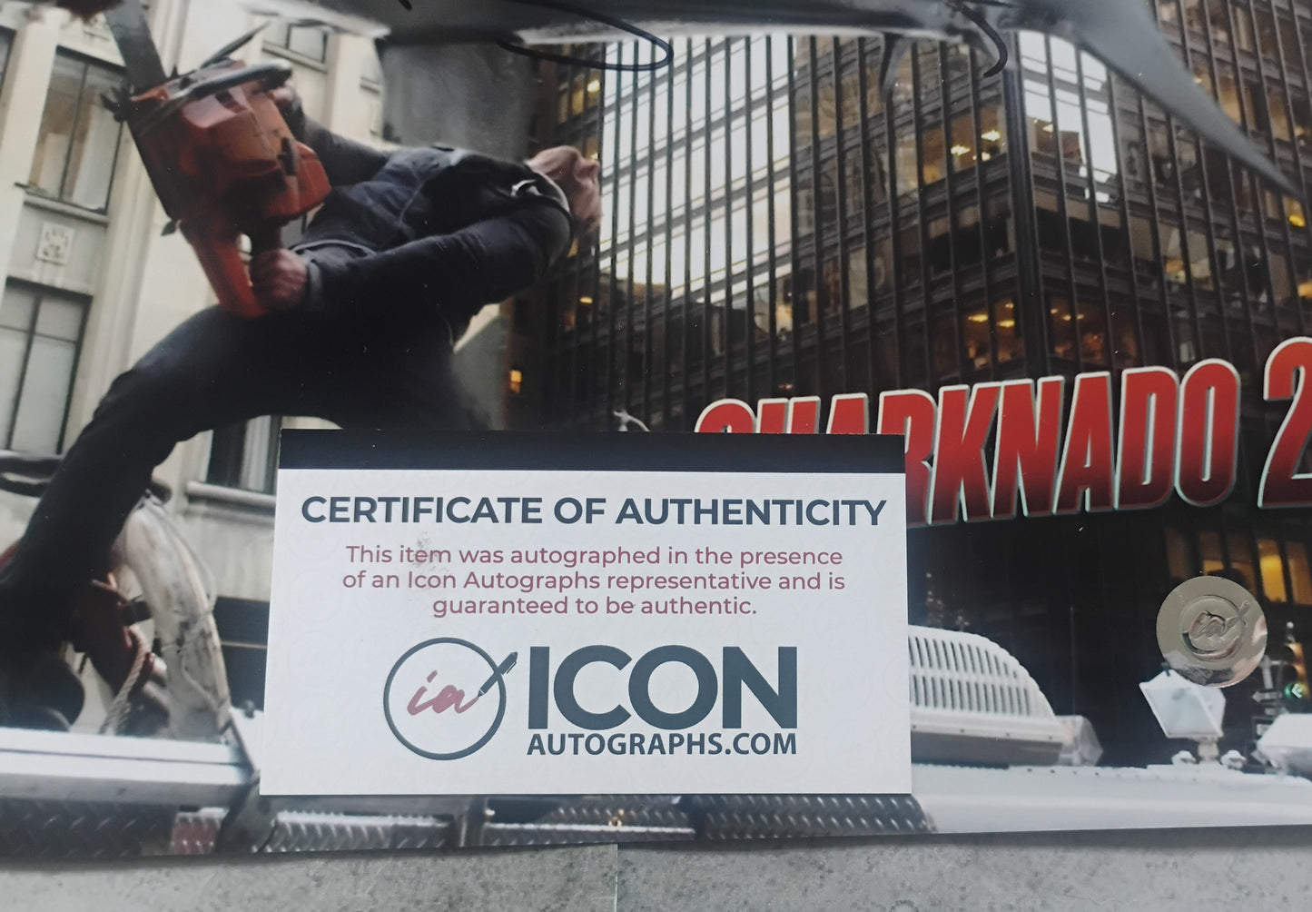 Ian Ziering Hand Signed Autograph 8x10 Photo COA Sharknado