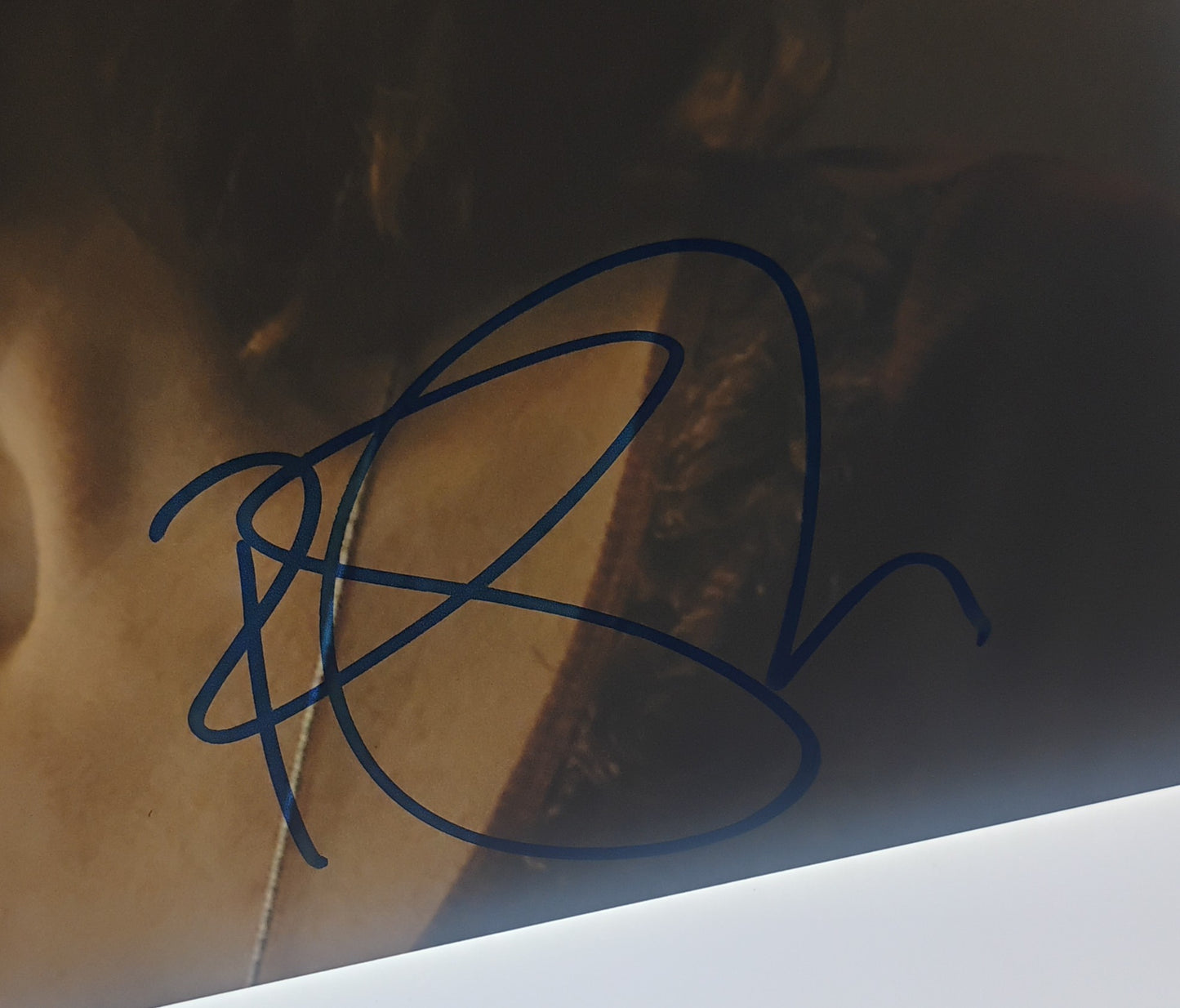 Fiona Shaw Hand Signed Autograph 8x10 Photo BAS COA True Blood