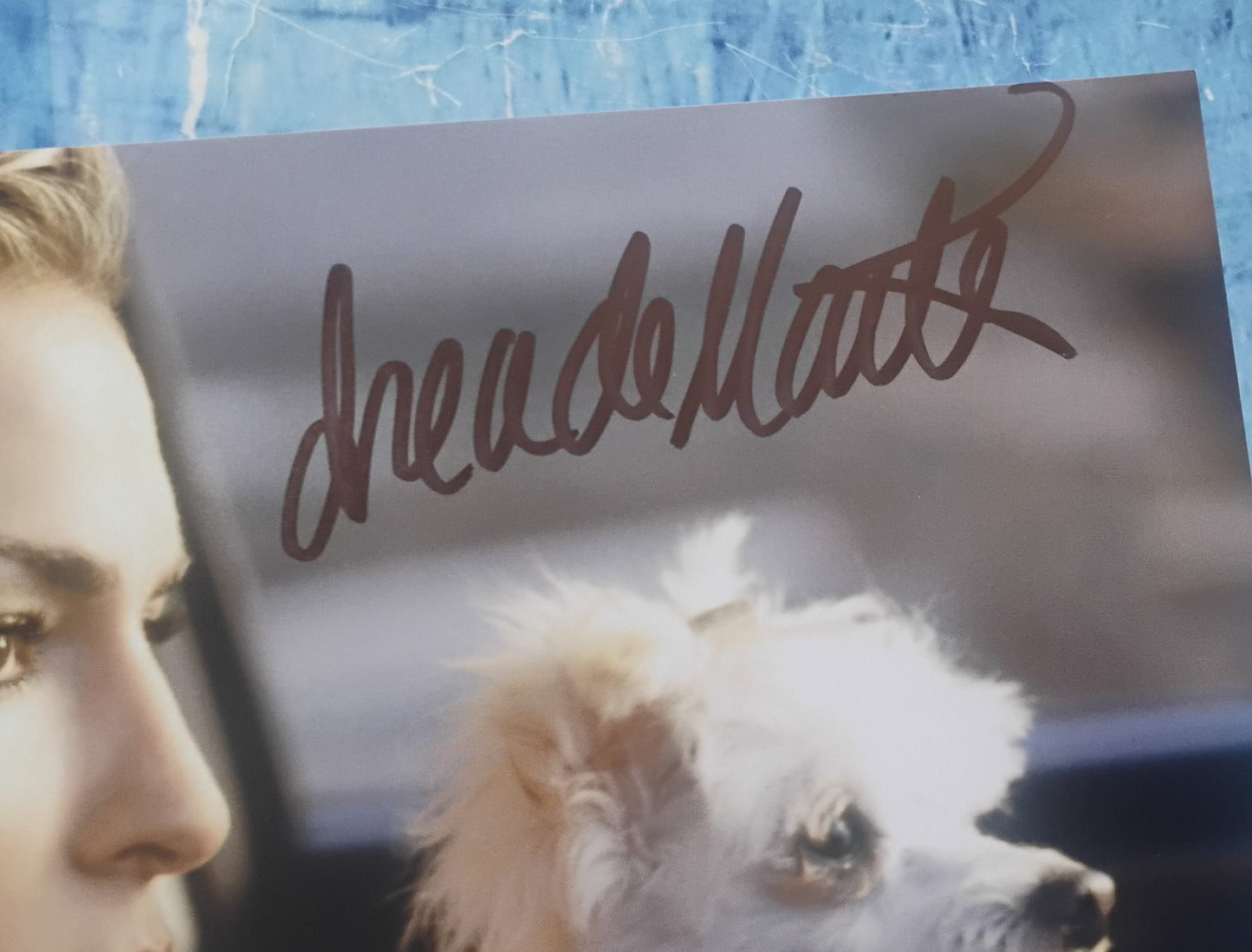 Drea de Matteo Hand Signed Autograph 8x10 Photo JSA COA The Sopranos