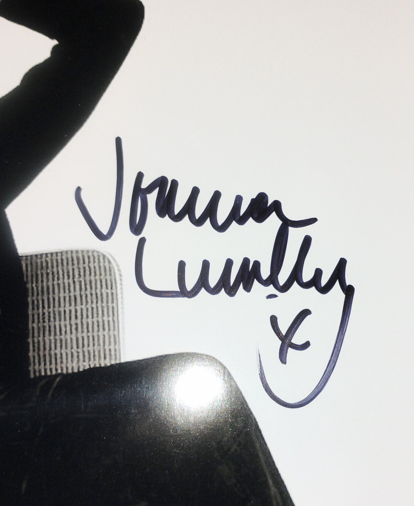 Joanna Lumley Hand Signed Autograph 8x10 Photo COA