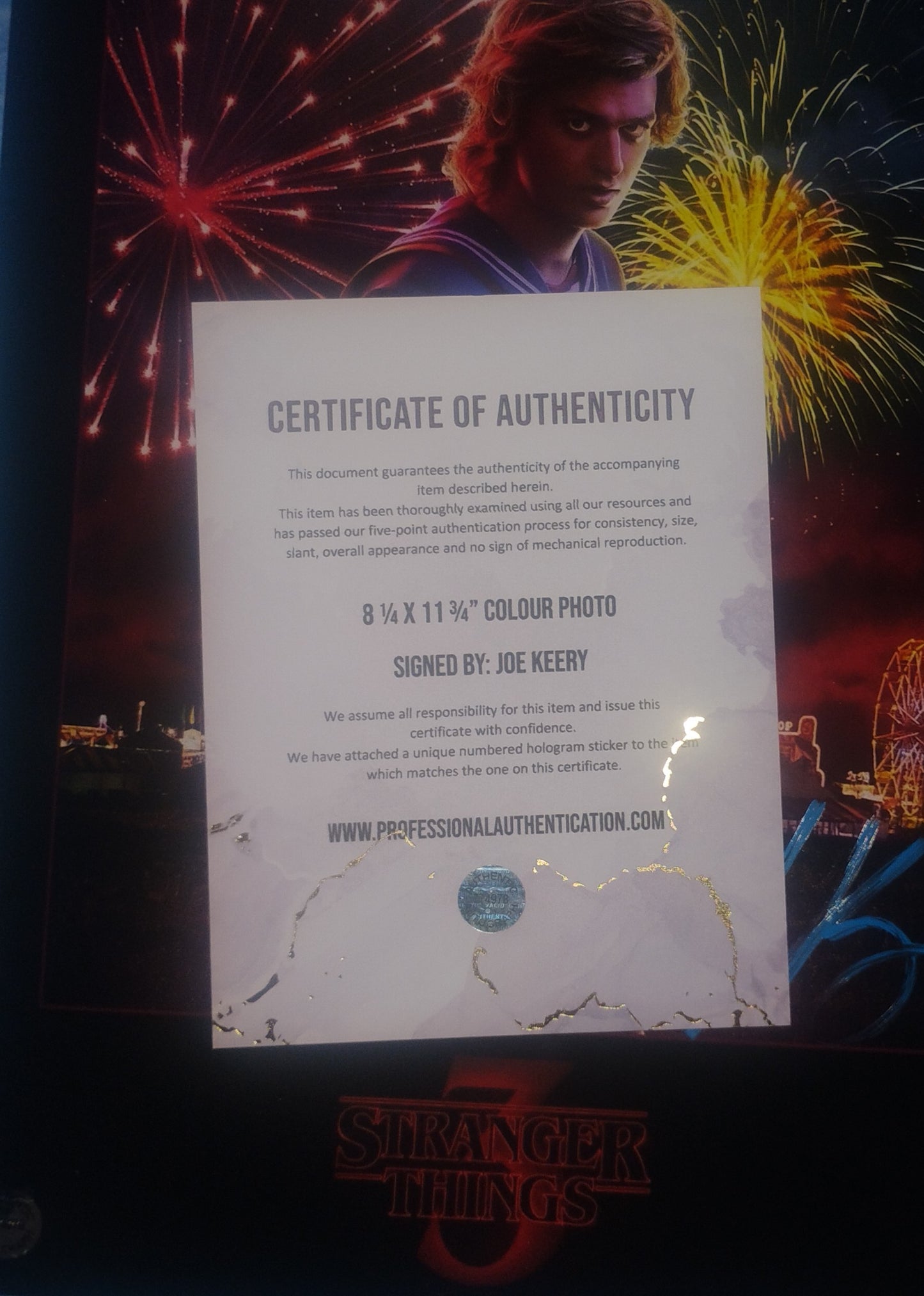 Joe Keery Hand Signed Autograph Photo COA Stranger Things