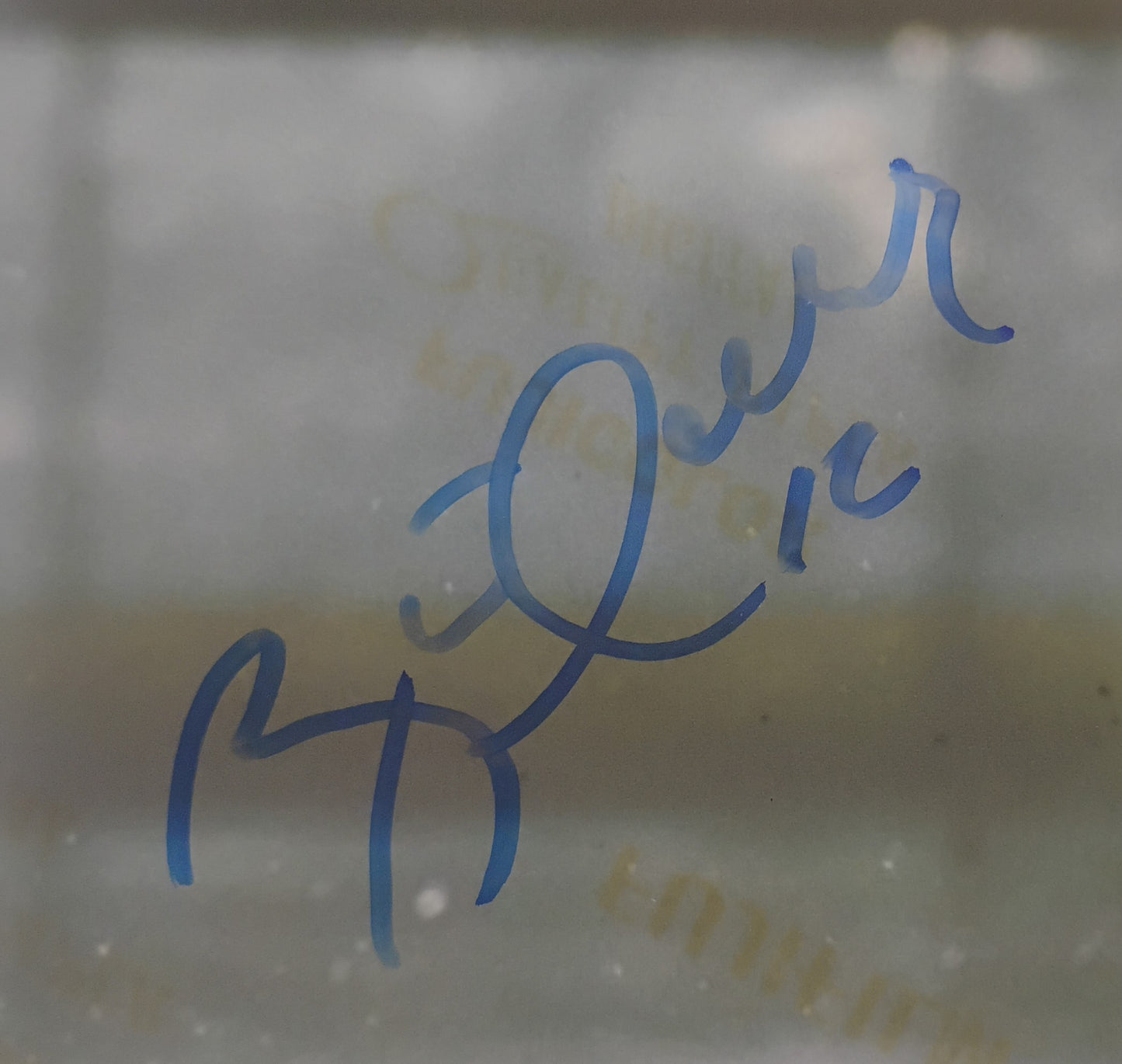 Brett Hull Hand Signed Autograph 8x10 Photo BAS COA St Louis Blues