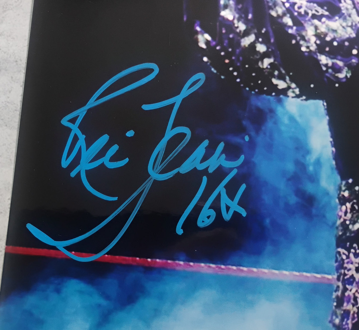 Ric Flair Nature Boy Hand Signed Autograph 11x14 Photo JSA COA