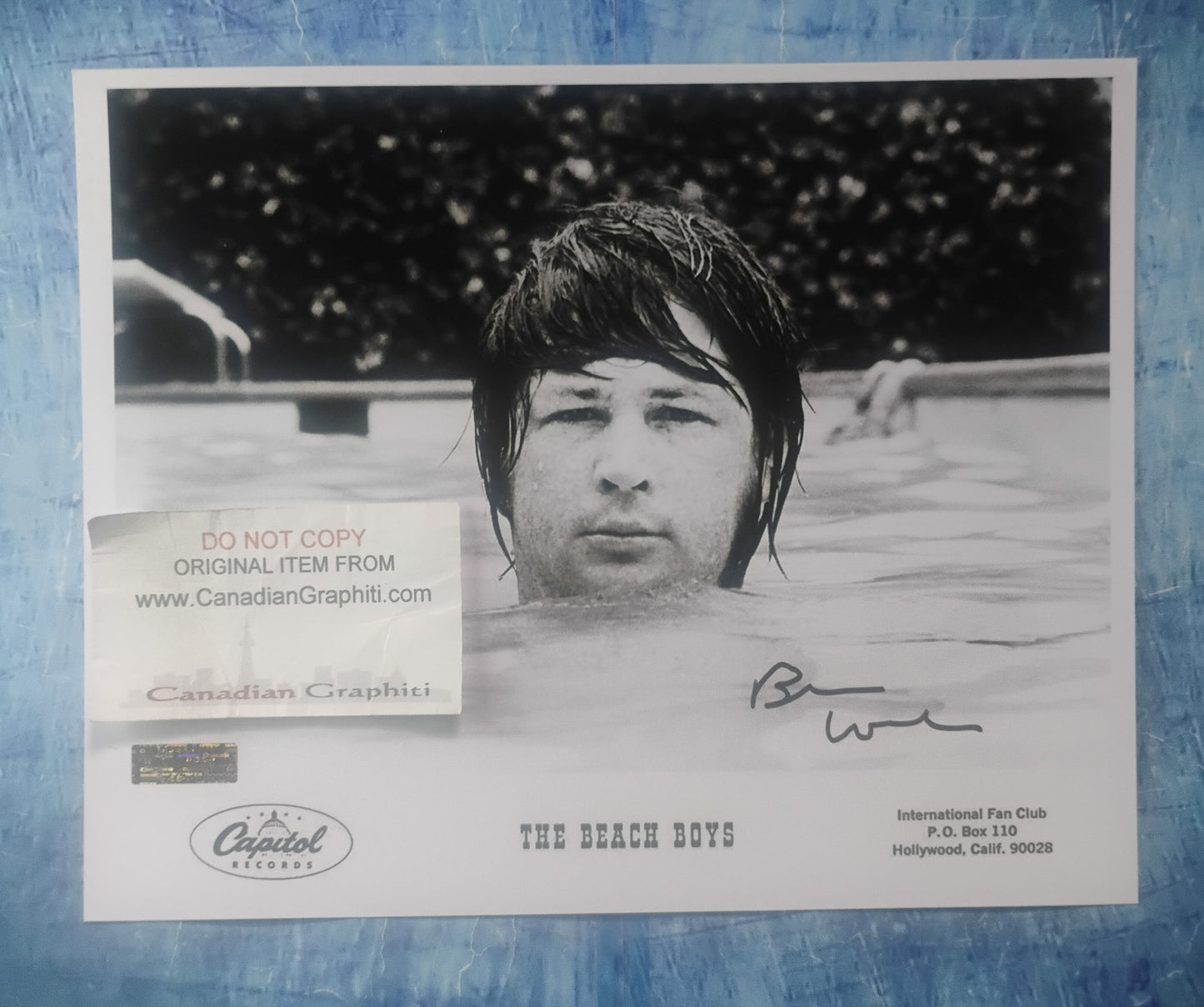 Brian Wilson Hand Signed Autograph 8x10 Photo COA Beach Boys