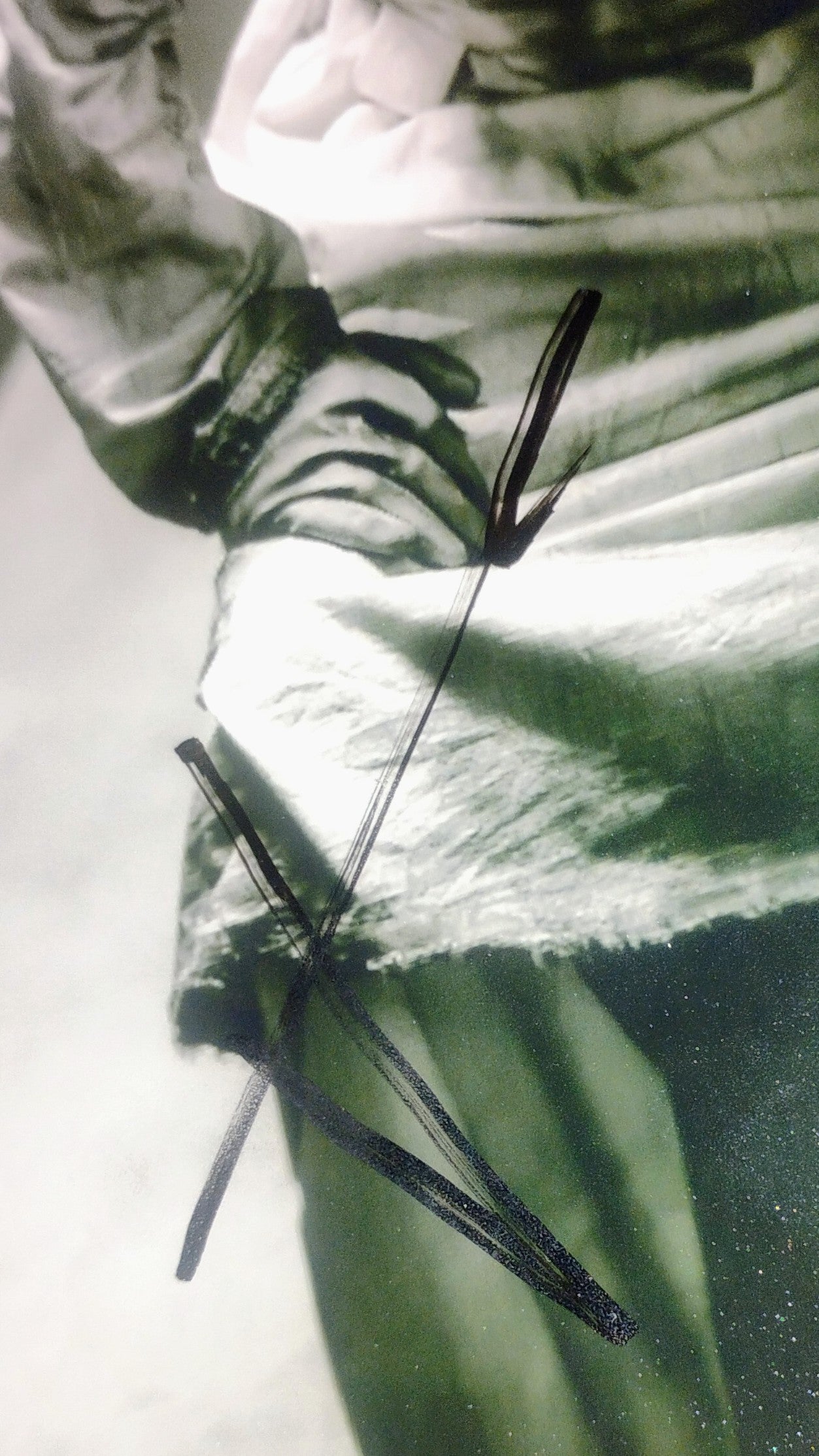 Jared Leto Hand Signed Autograph 8x10 Photo BAS COA The Joker