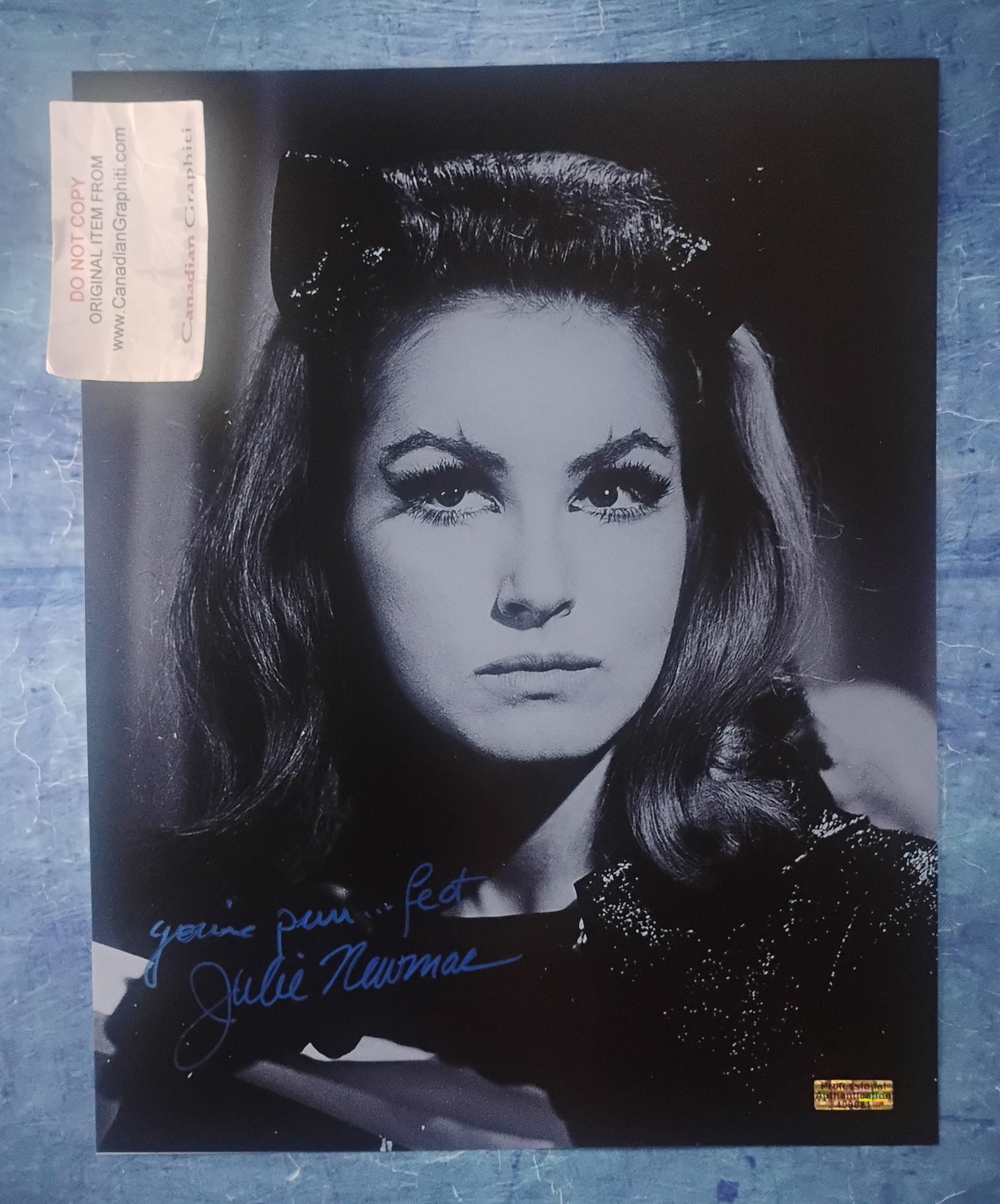 Julie Newmar Hand Signed Autograph 11x14 Photo COA Catwoman